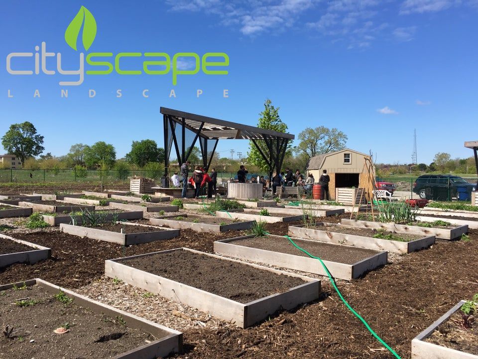Community garden with raised beds, shed, and pergola. People gathered under the pergola on a sunny day.