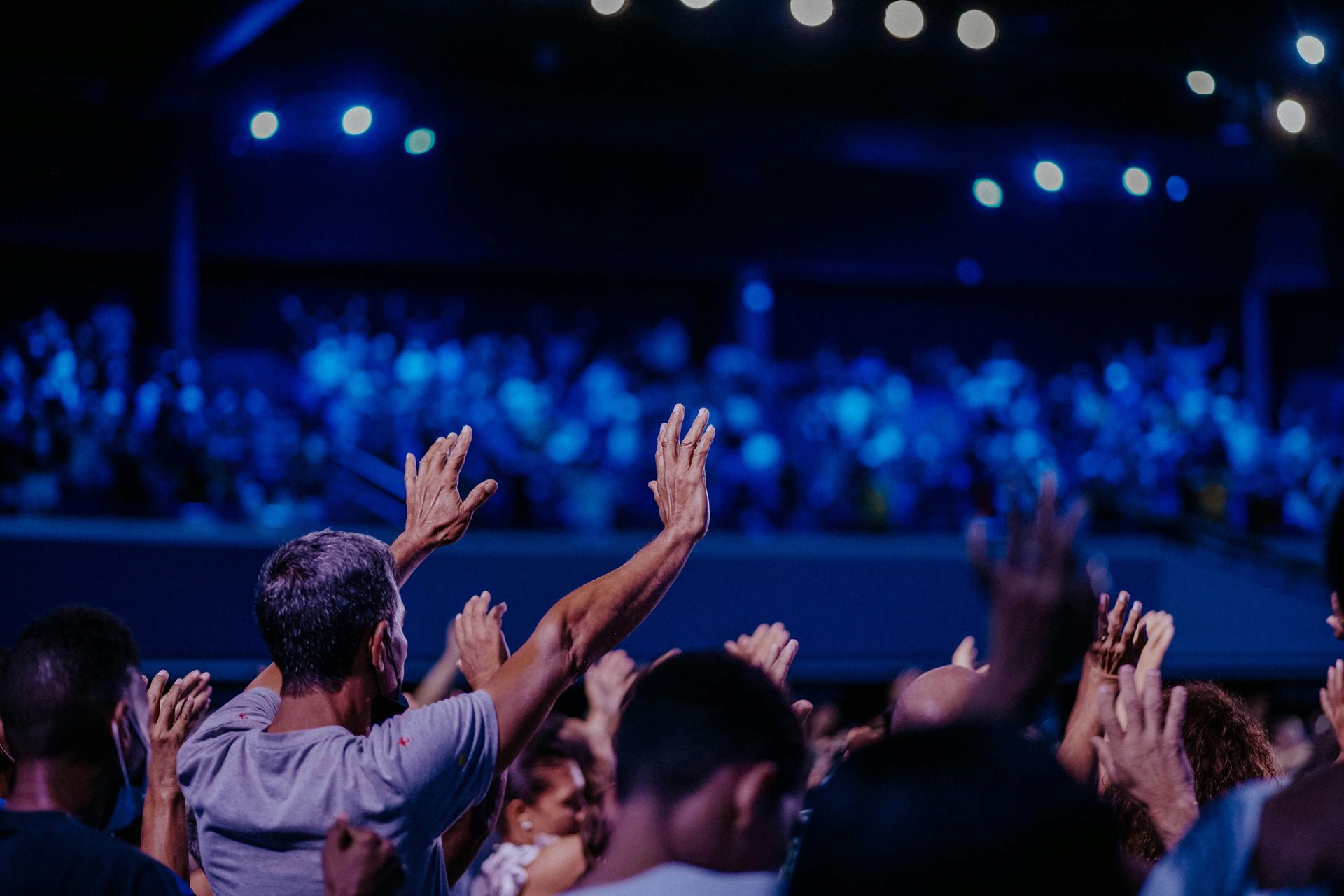 BEPIVOTA leverage support for high-impact team engagement