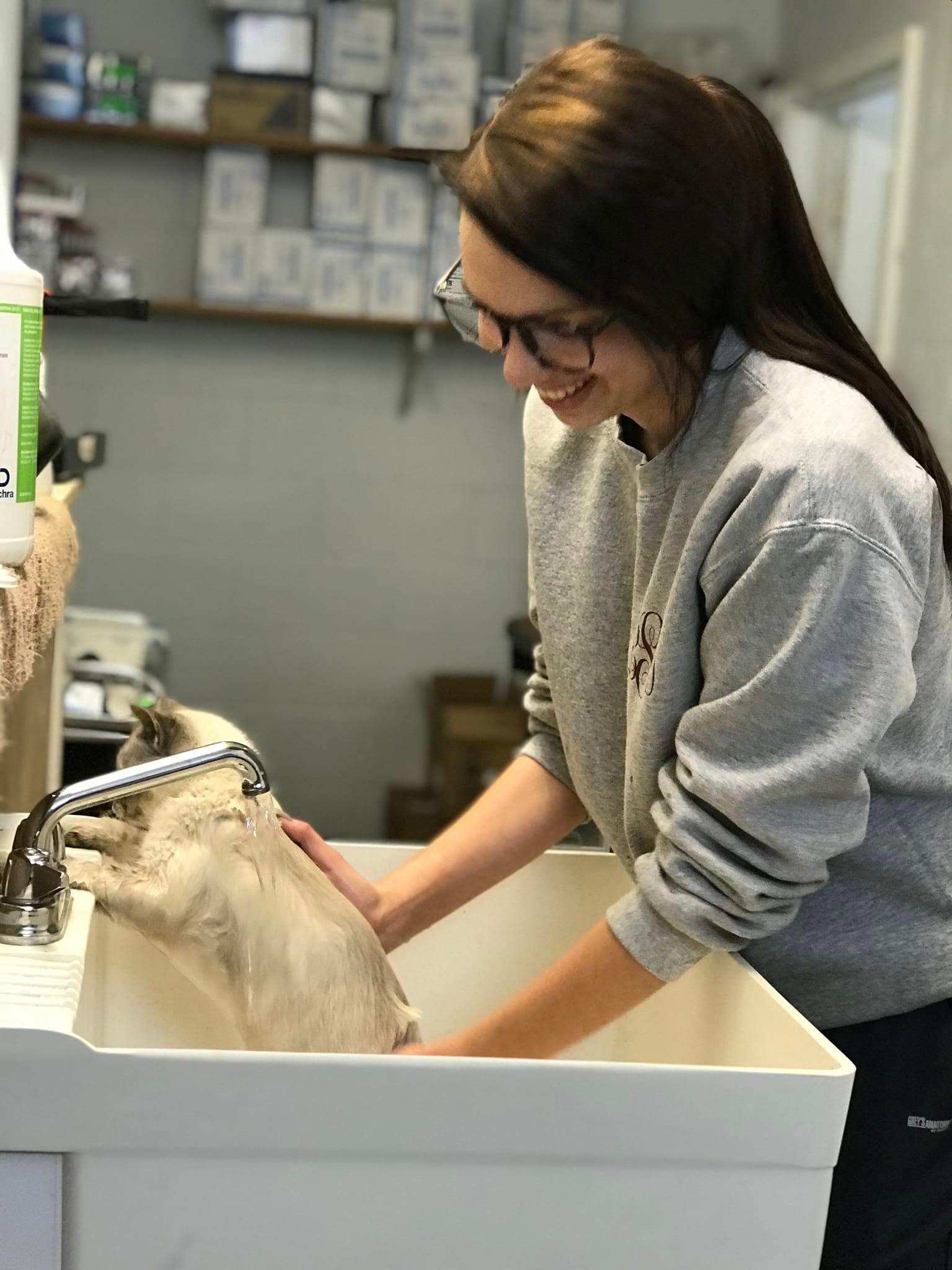 Woman in gray sweater washing a dog in a white tub indoors.
