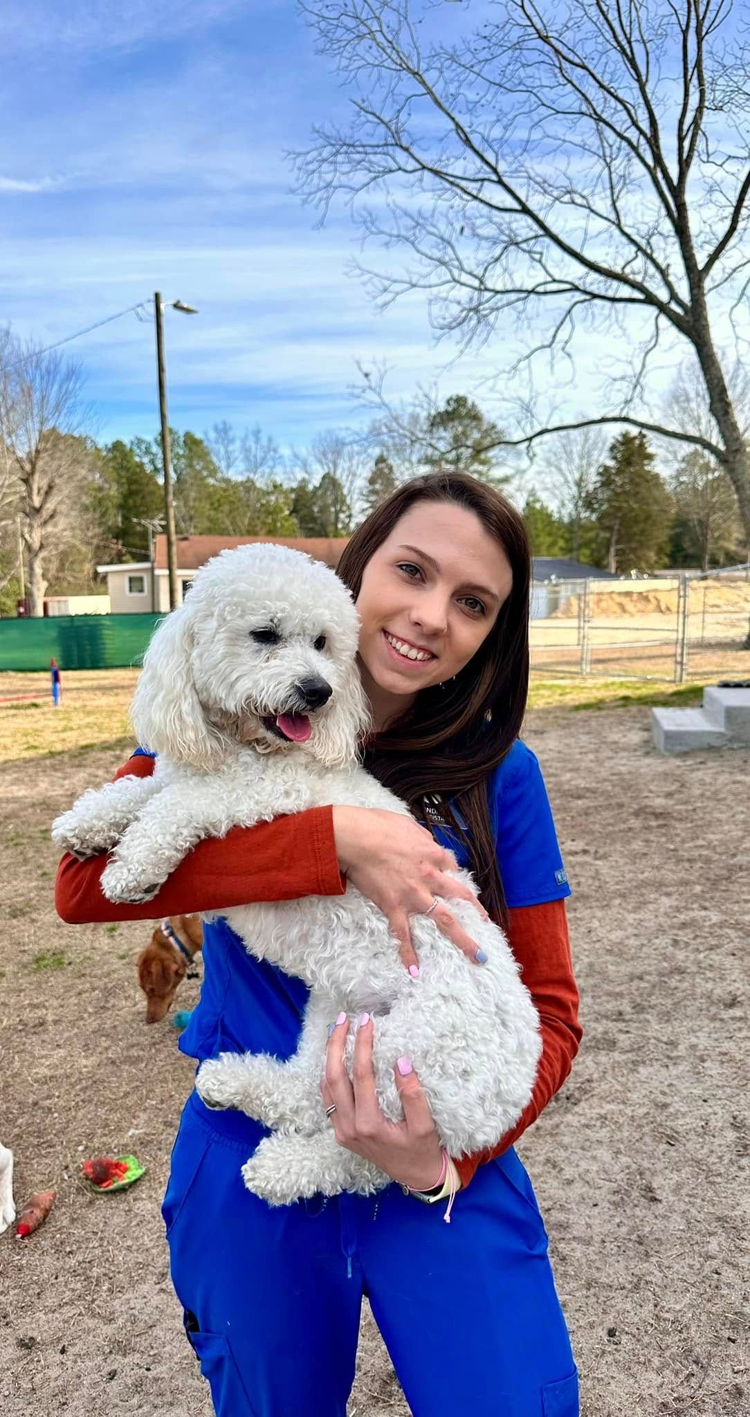 Woman in blue holds a fluffy white dog in a red sweater outdoors on a sunny day.