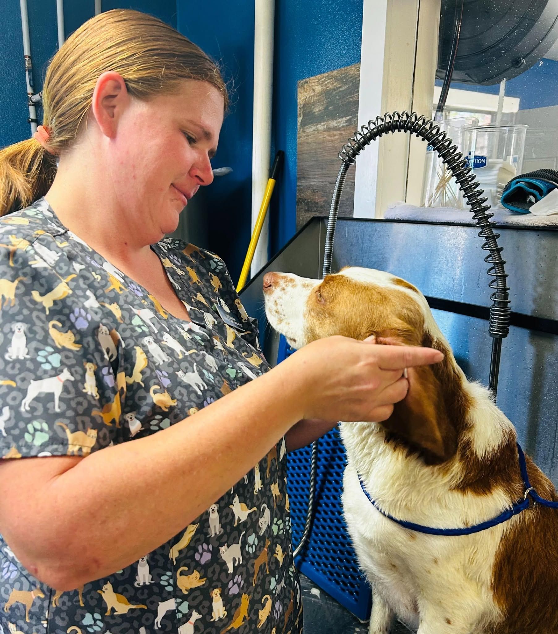 Woman gently groomins a dog at a pet salon sink.