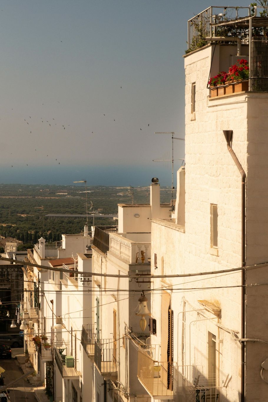 White buildings line a street, overlooking the sea in the distance. Red flowers on a rooftop.