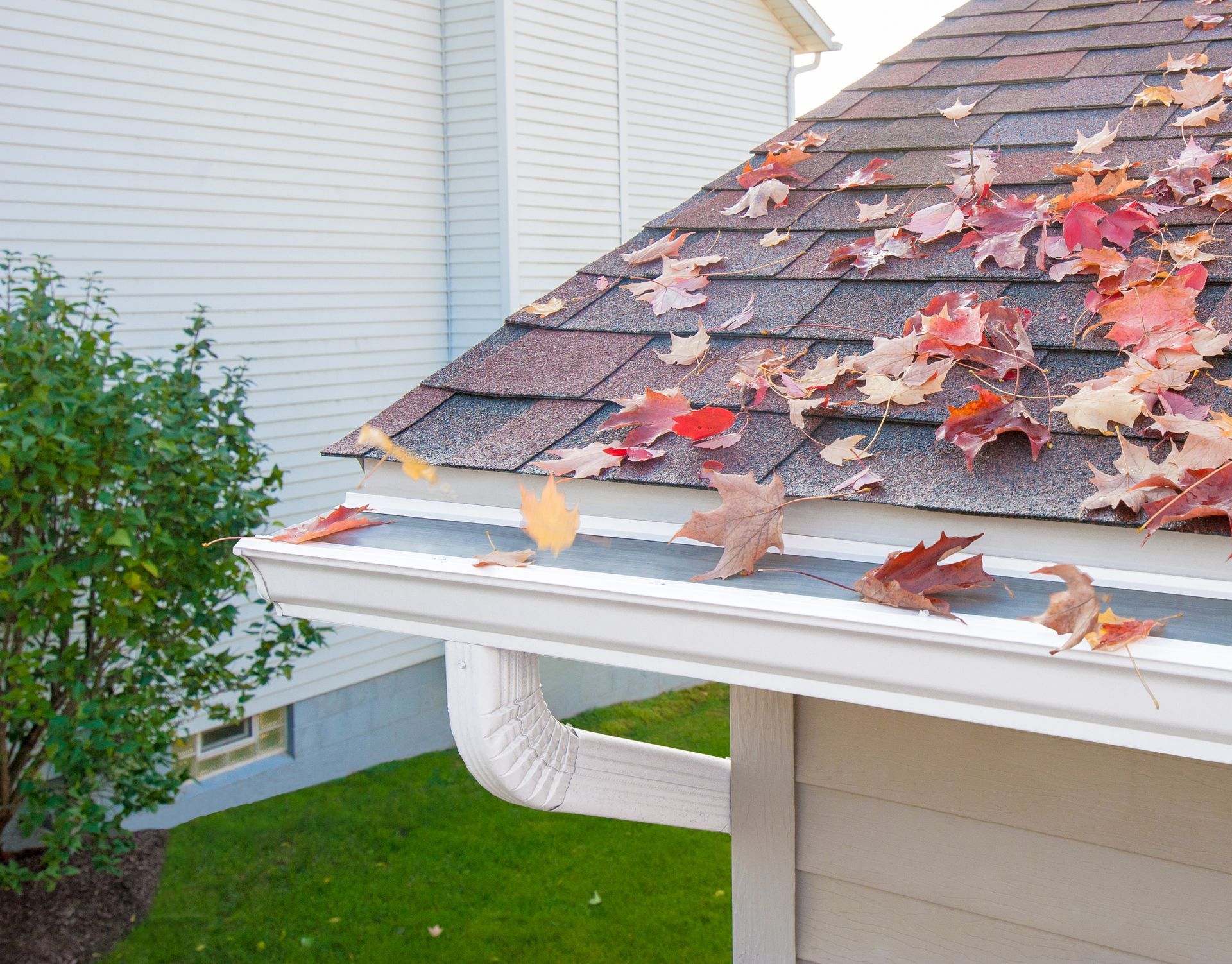 A roof covered in fall leaves with a protective gutter that won't  allowed the leaves to clog the gutters; with a downspout to direct the direction of the water.