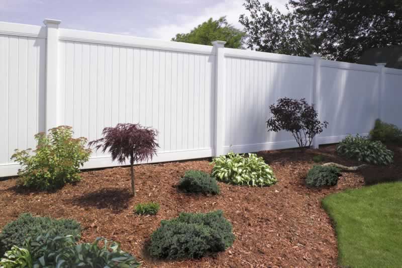 White vinyl fence along a landscaped bed with bushes and mulch, in a yard.
