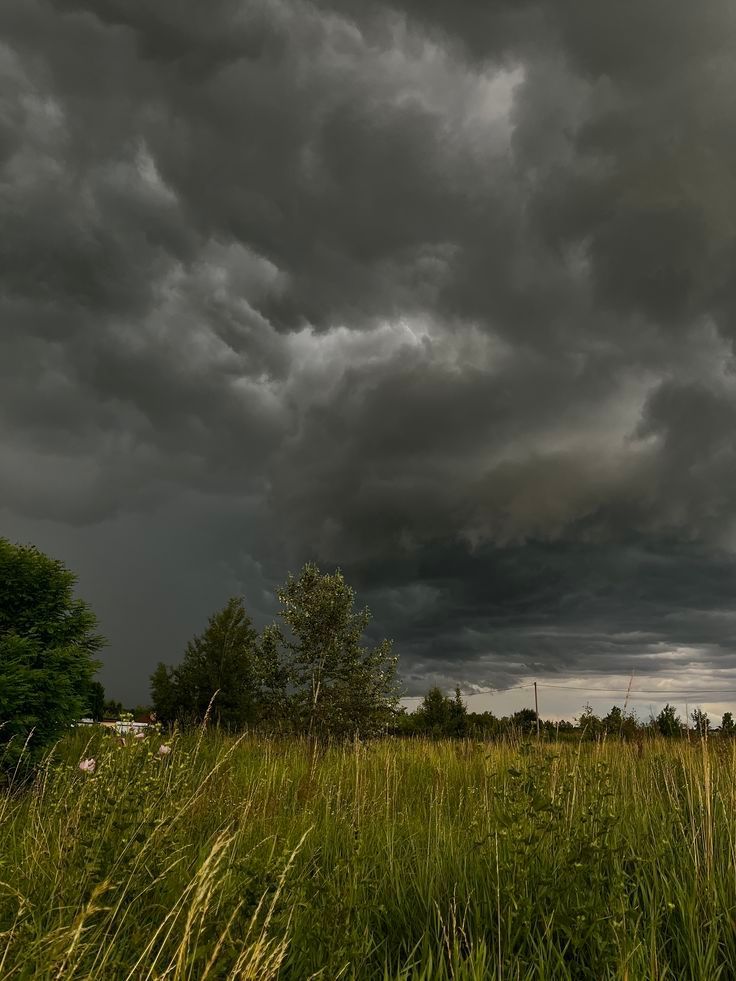 Dark storm clouds over a grassy field with trees on the horizon
