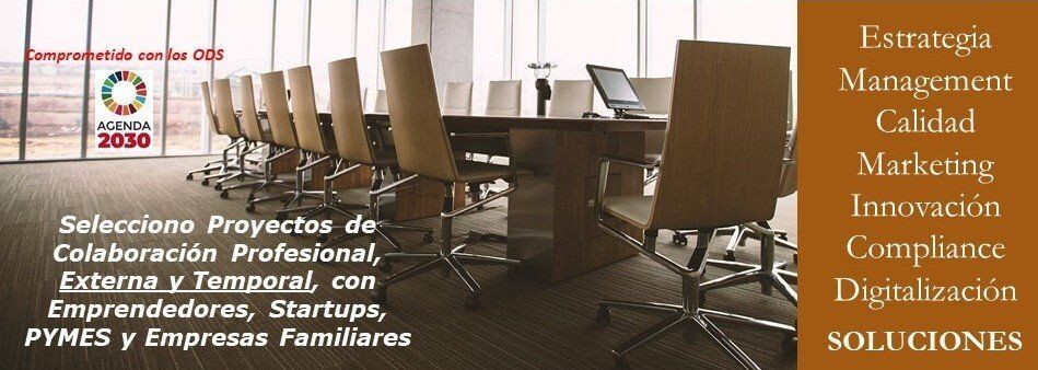 Econnomista Consultor Proyectos Empresariales