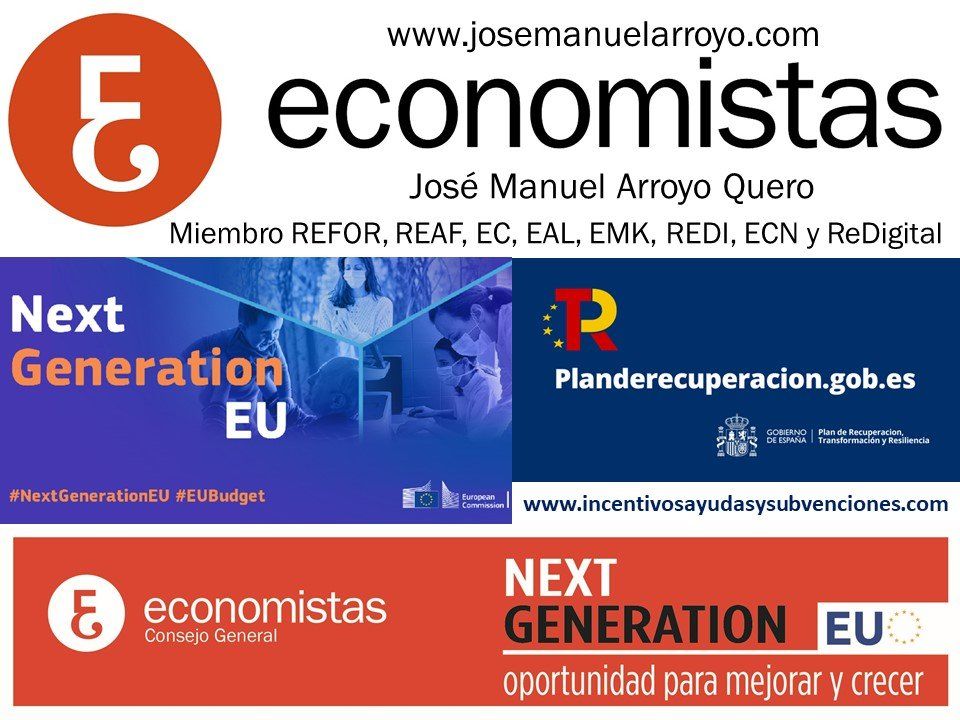 Economistas Ayudas y Subvenciones
