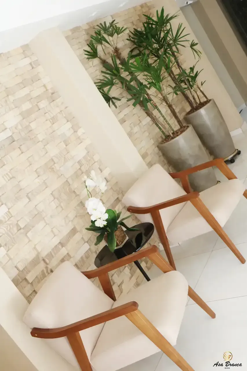 Duas cadeiras estão sentadas uma ao lado da outra em uma sala com plantas em vasoshotel-asa-branca