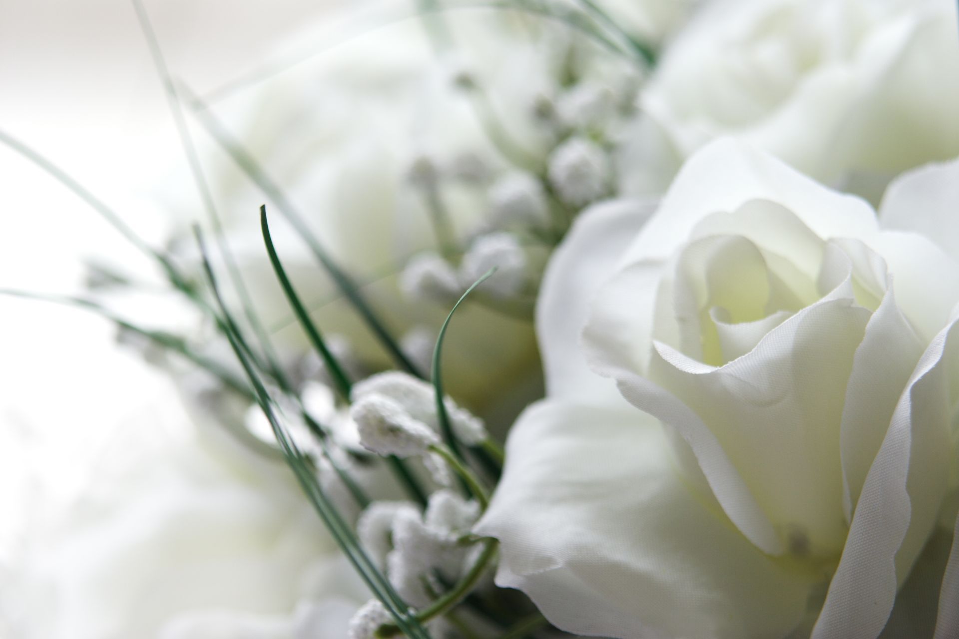 White rose bouquet with delicate baby's breath and green stems on a soft white background