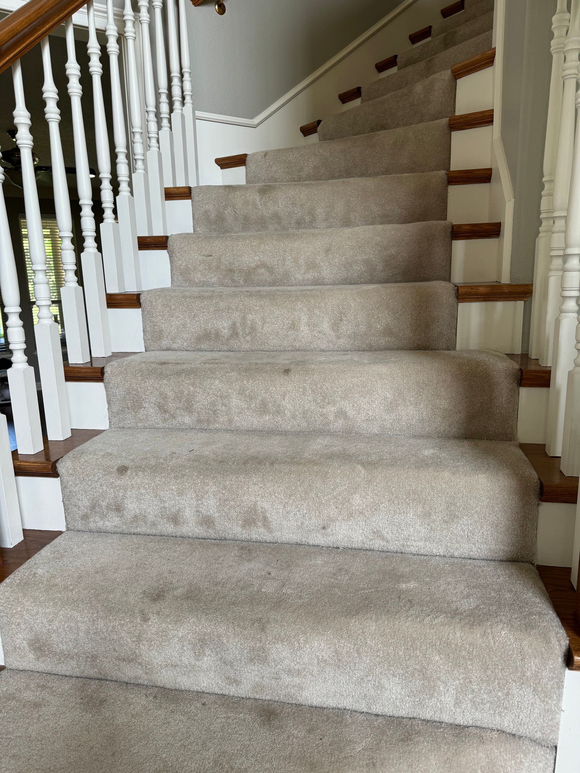 A staircase with a carpeted staircase and white railing