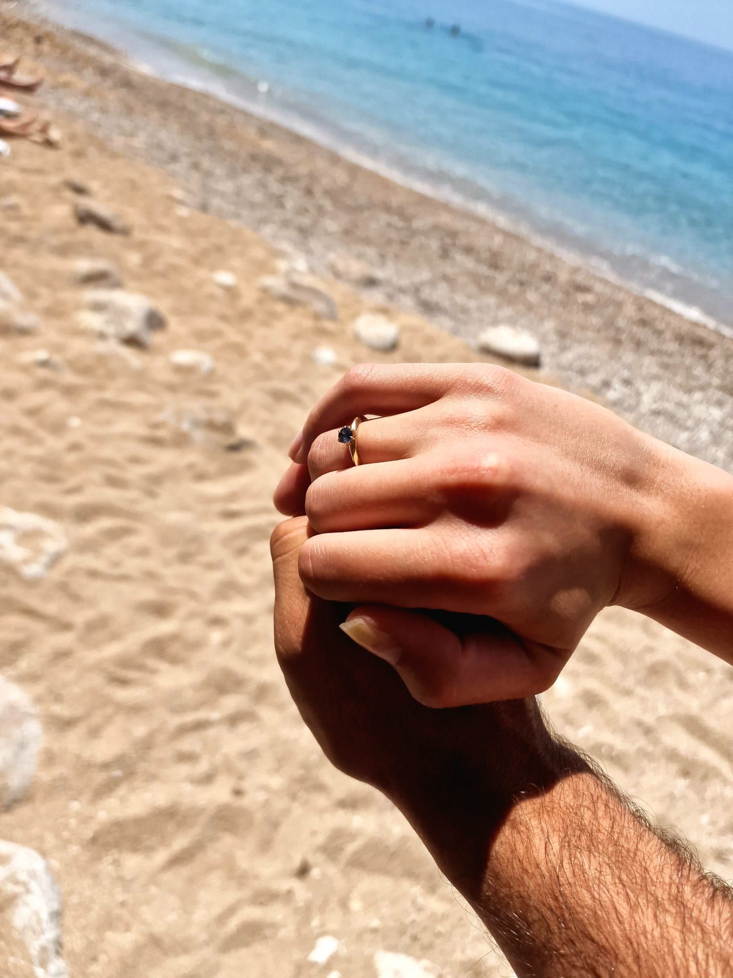 pasjaca proposal