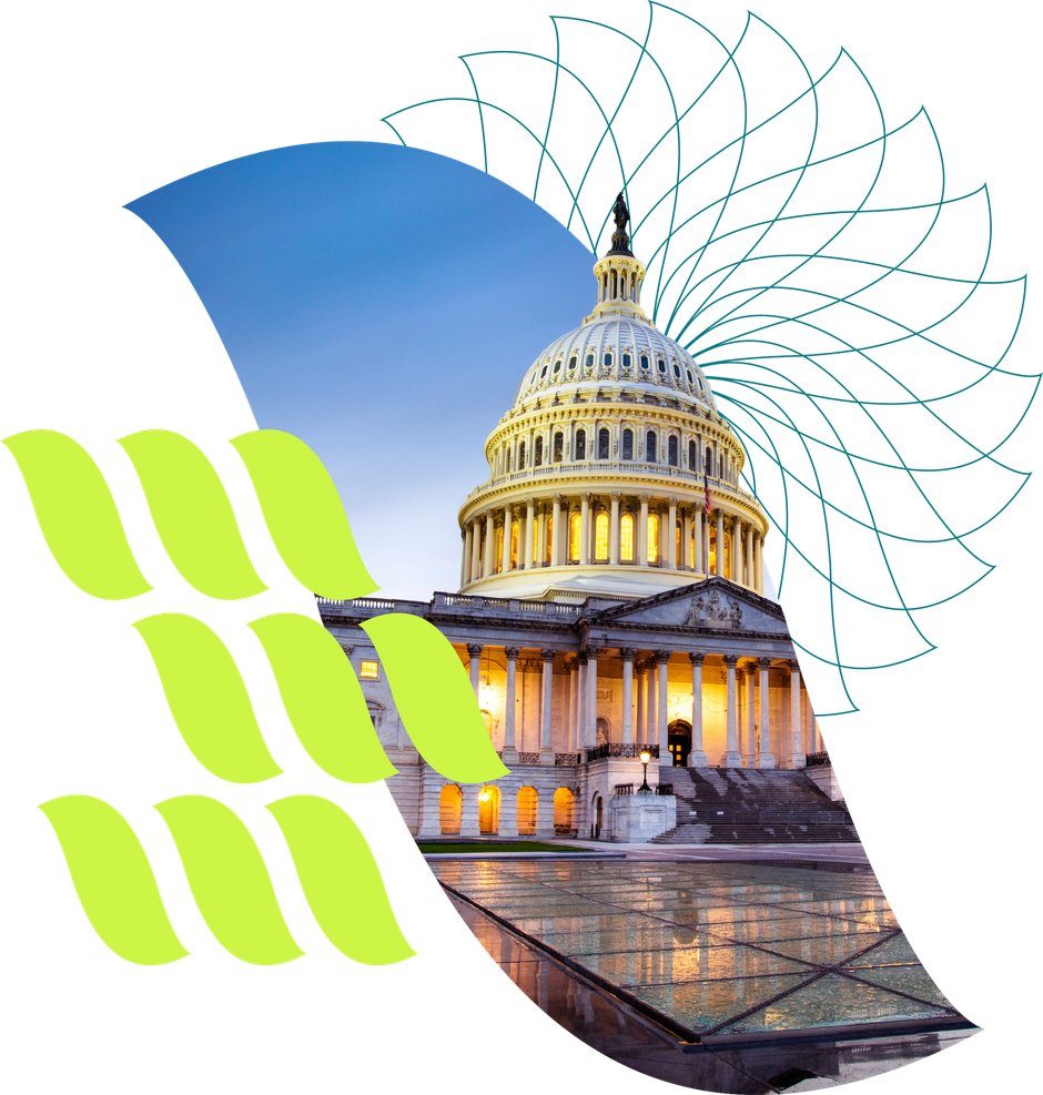 U.S. Capitol dome in a blue-white graphic with lime green leaf shapes and abstract line pattern