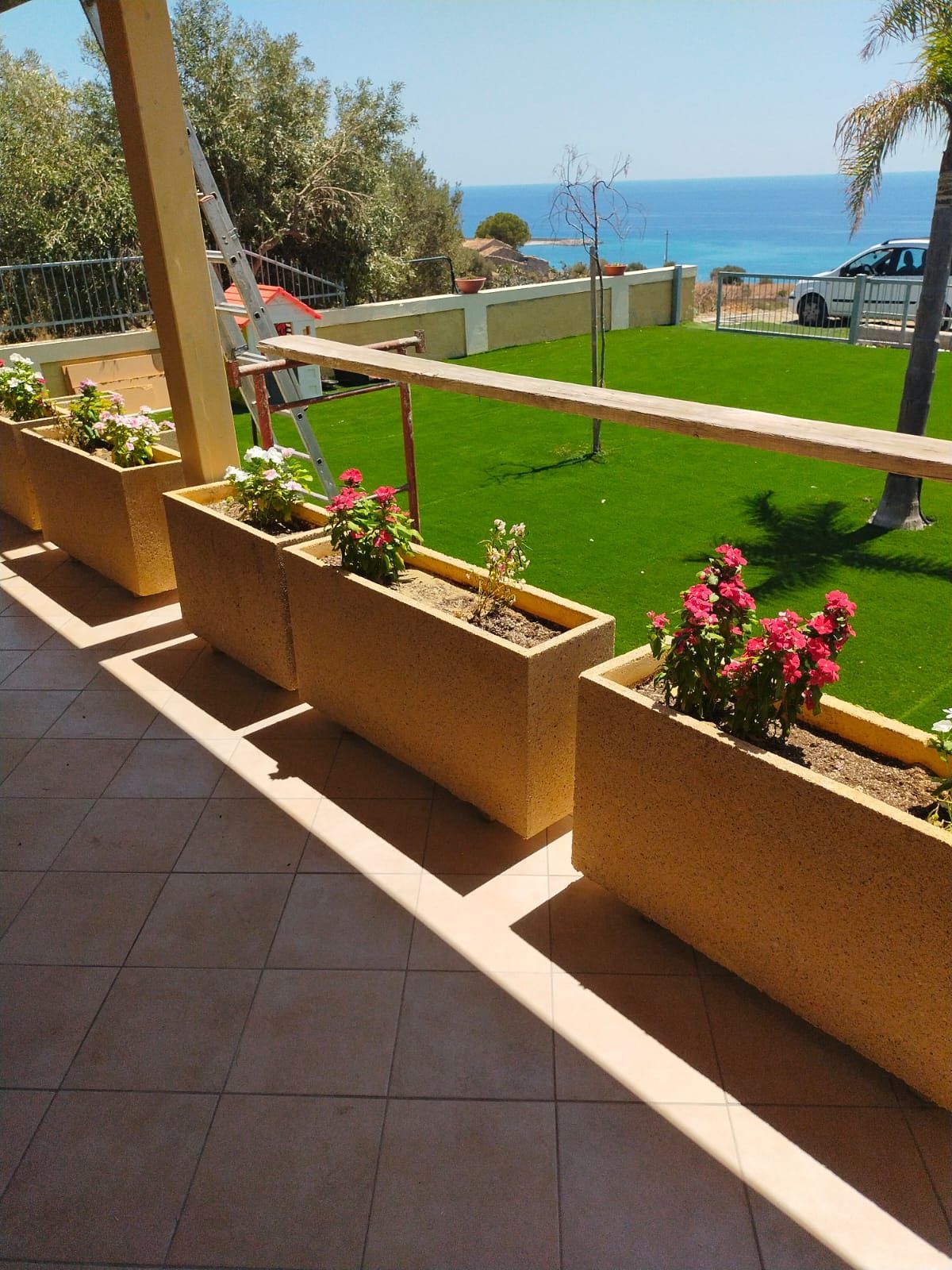 Una fila di piante in vaso su un balcone con vista sull'oceano