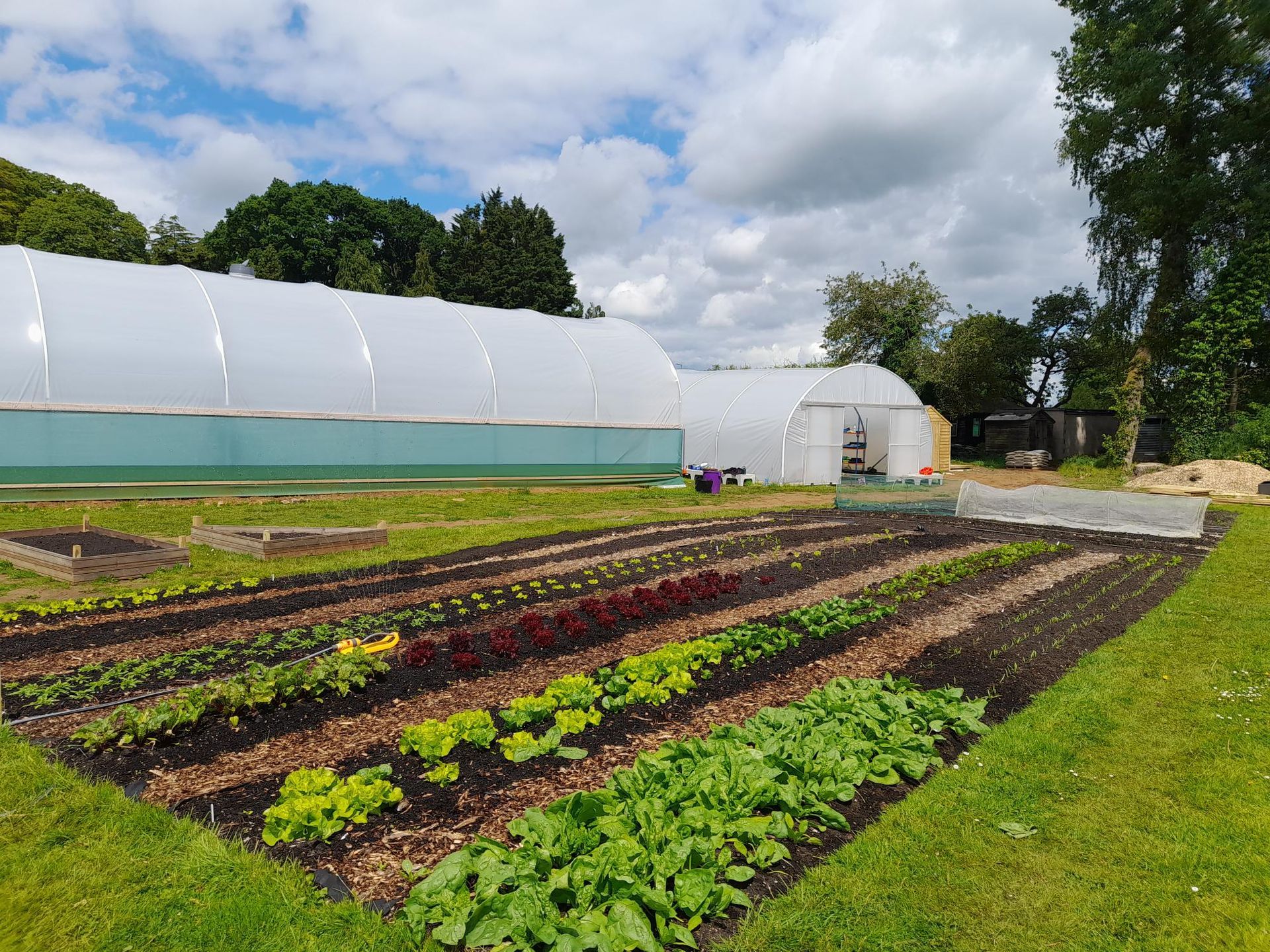 Reducing Carbon Footprint with Oklin Food Waste Solution