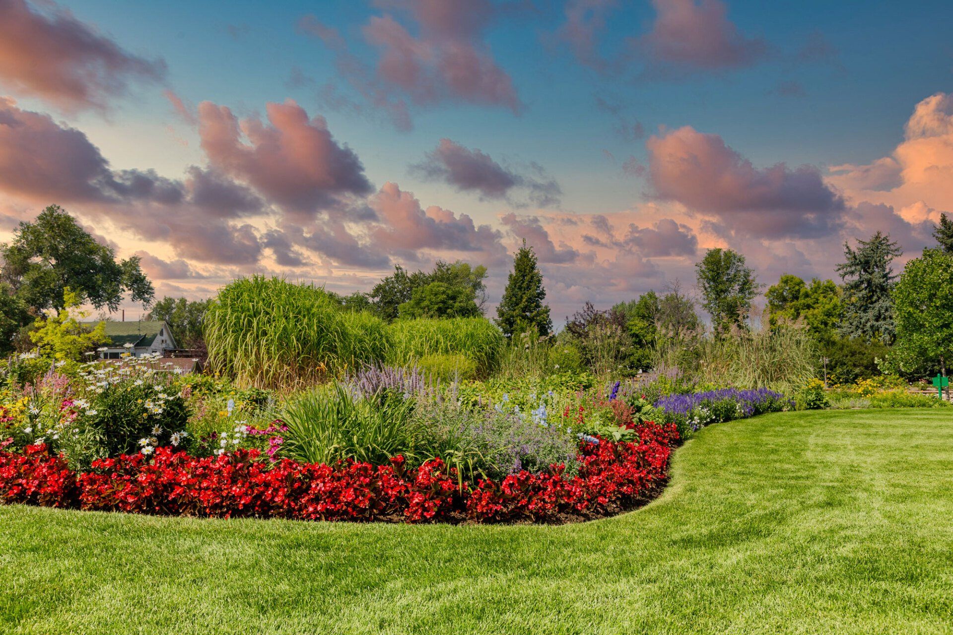 Photo of a garden