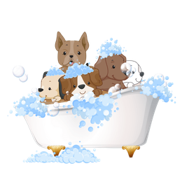 Dog Grooming Company | Land O Lakes, FL | The Fur Flipper by Gloria