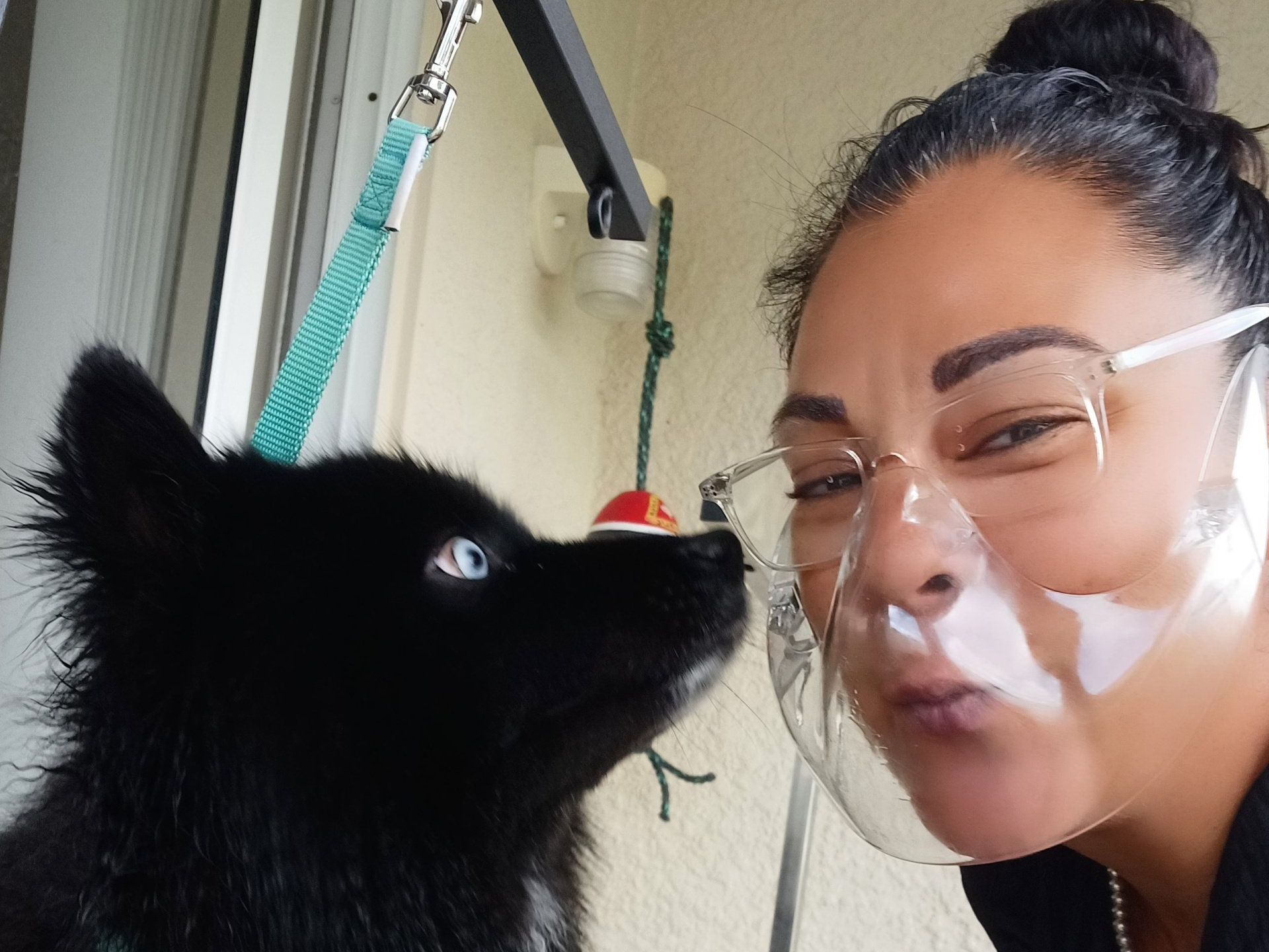 Dog Grooming Company | Land O Lakes, FL | The Fur Flipper by Gloria