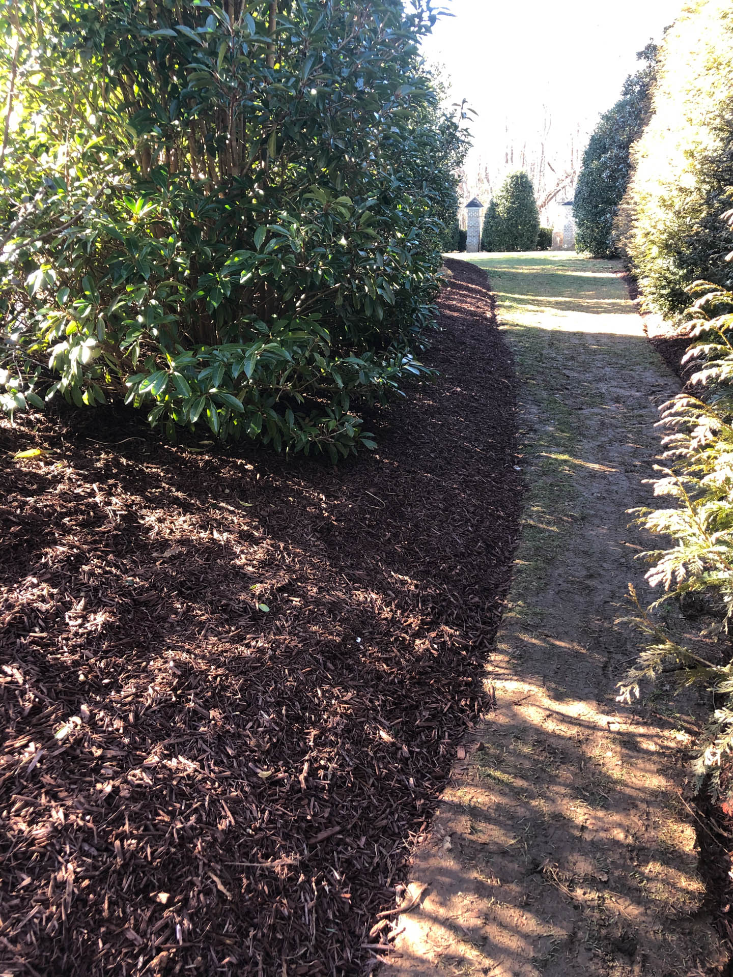 Brown mulch bed bordering a dirt path, with green shrubbery and trees. Sunny outdoor setting.