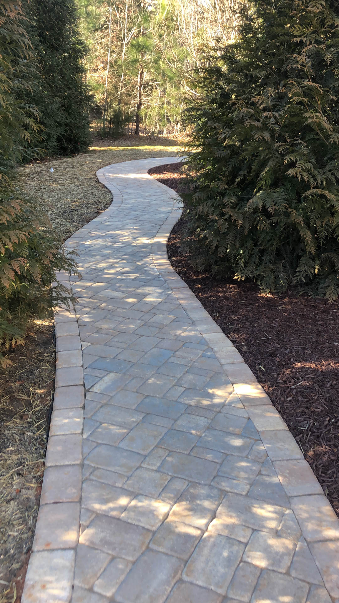 Stone walkway winding through a wooded area, bordered by trees and mulch.