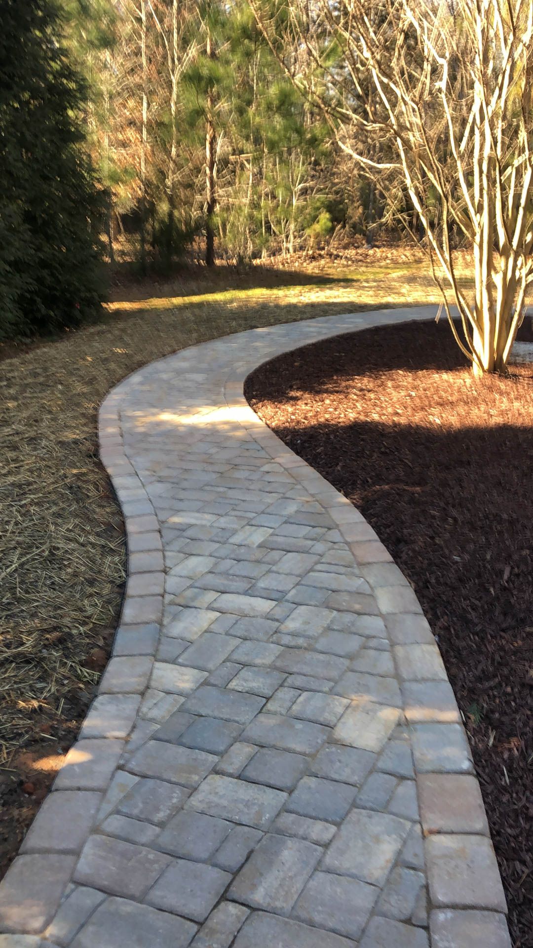 Stone pathway curves through a yard with trees and mulch.