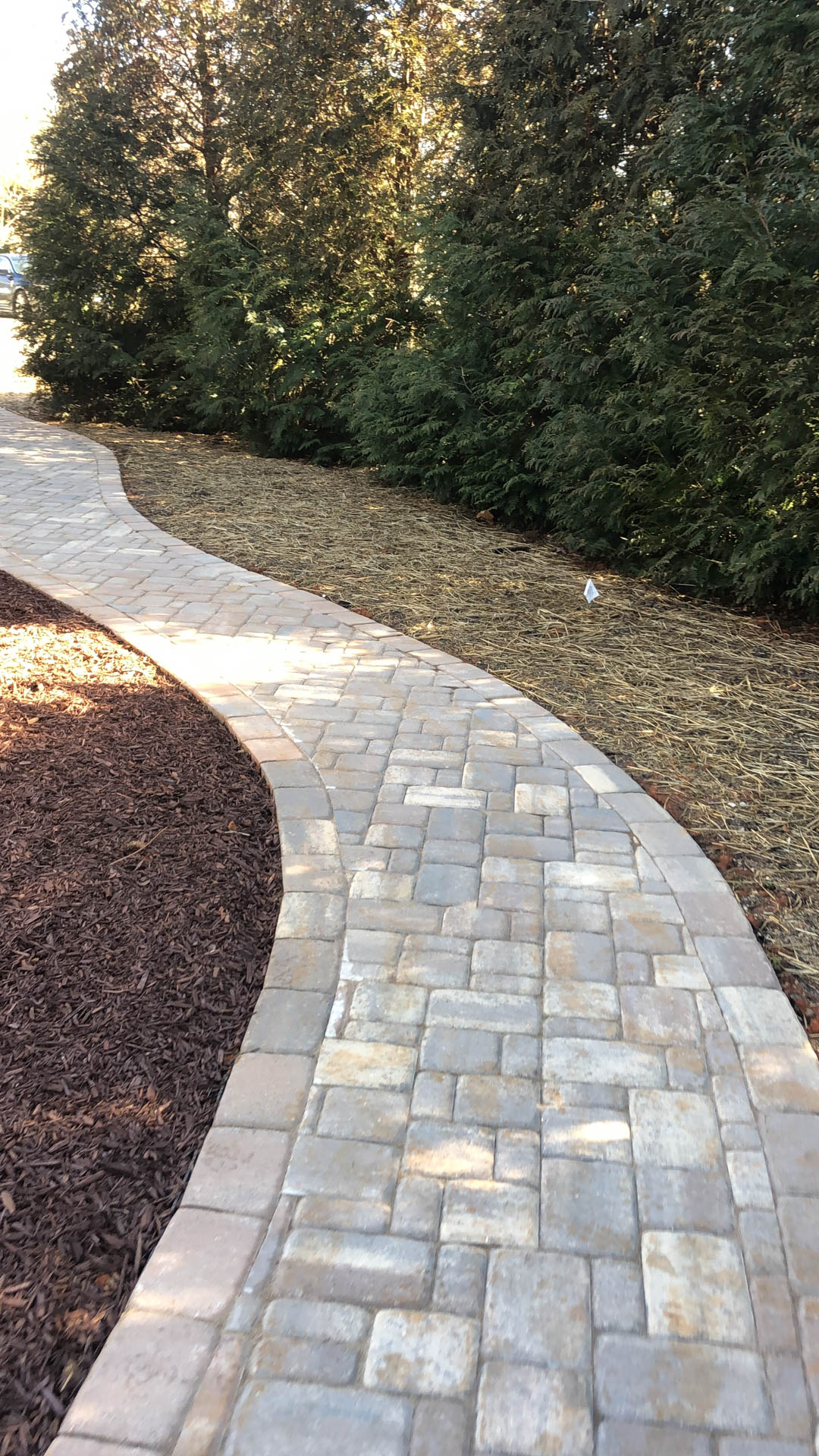 Curved stone walkway through landscaped area with brown mulch and green shrubbery.