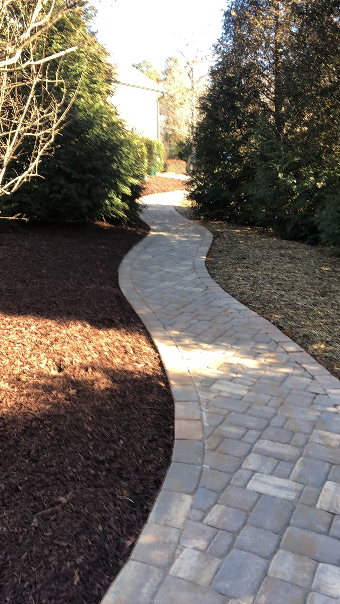 Stone path winds through a garden, lined with trees and dark mulch.