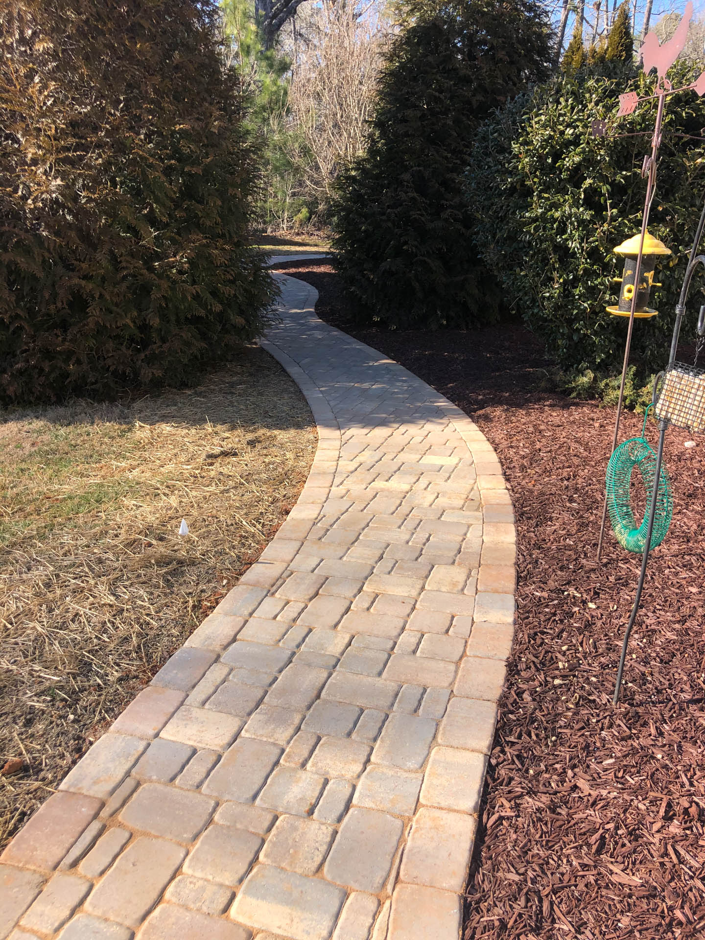 Brick pathway winding through a garden, lined with trees and mulch.