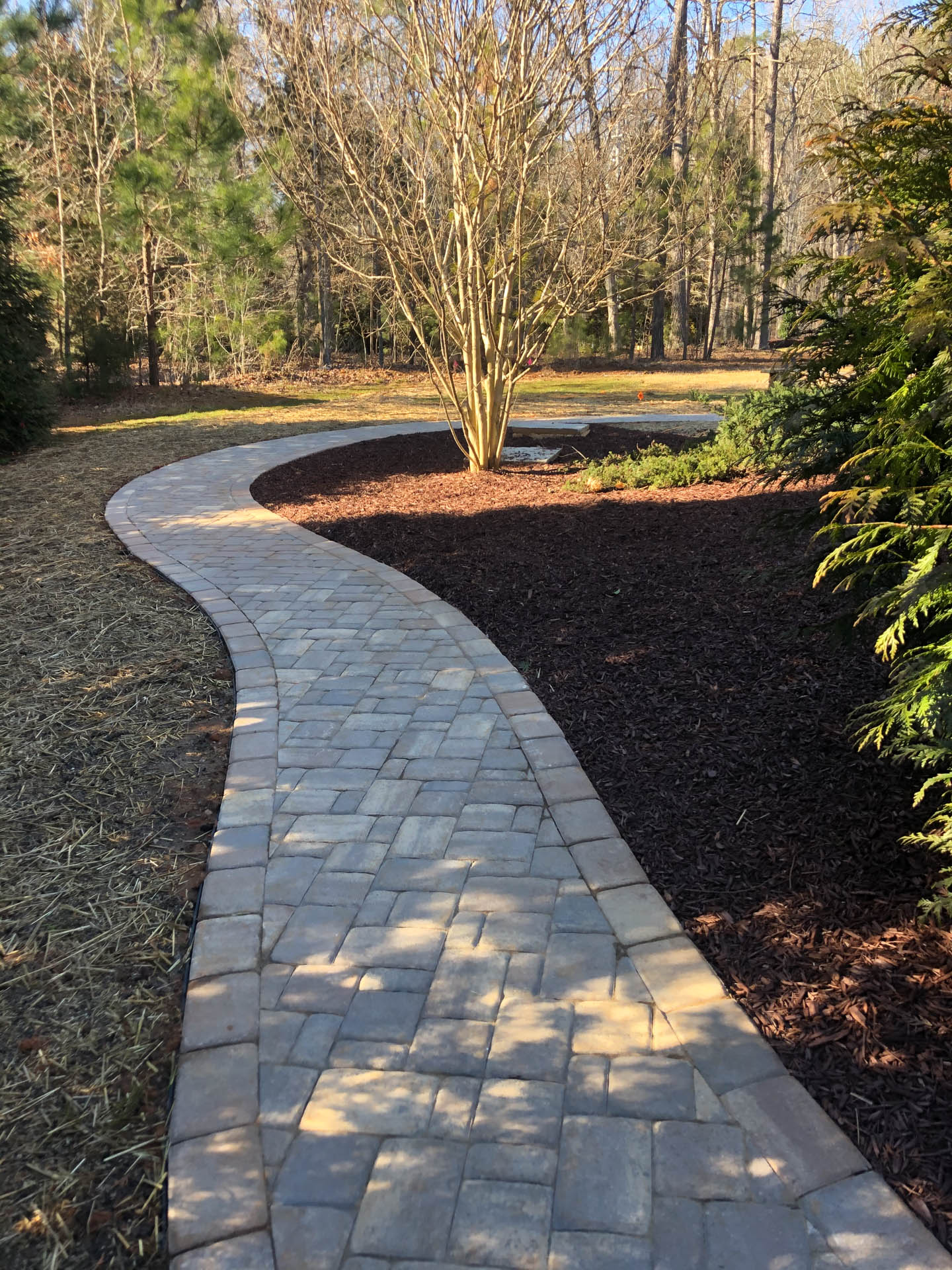 Brick pathway winds through a garden, lined with brown mulch and green shrubbery.
