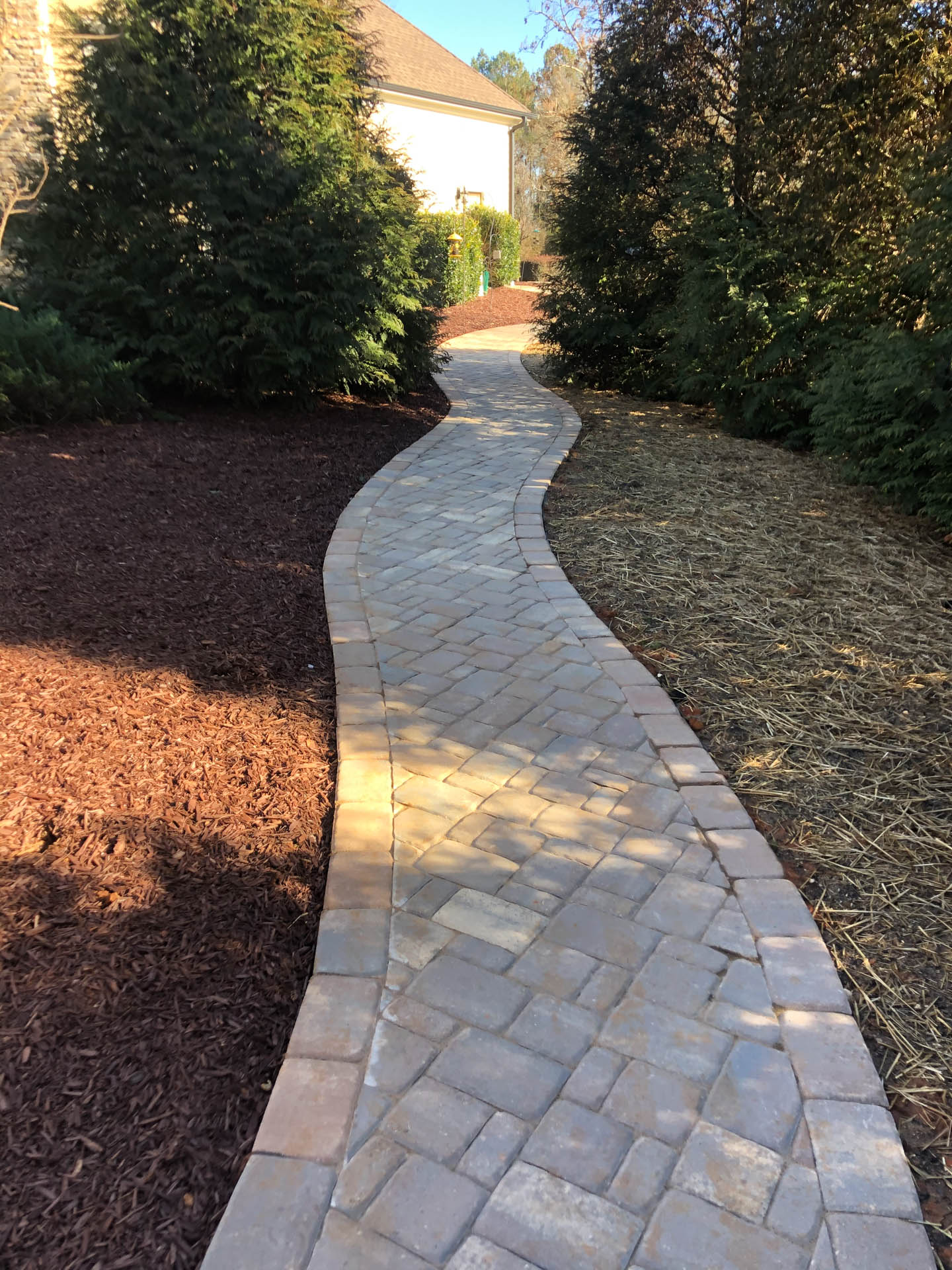 Brick pathway winds through landscaped yard with trees and mulch.