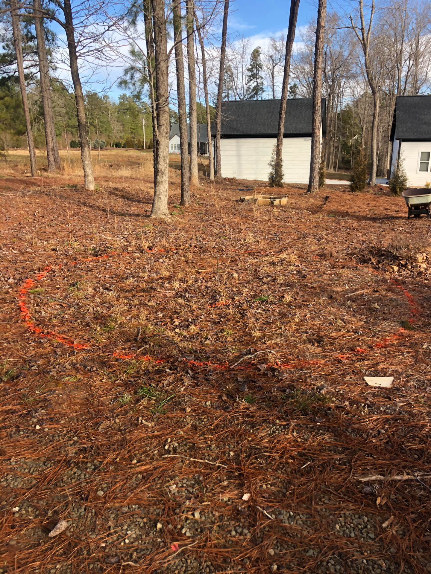 An open, brown, leaf-covered clearing marked with orange spray paint, surrounded by trees and two white buildings.