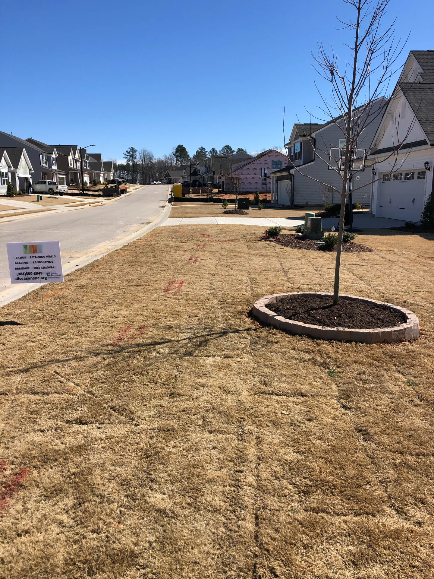 A residential street with bare grass, a tree, and houses on a sunny day.