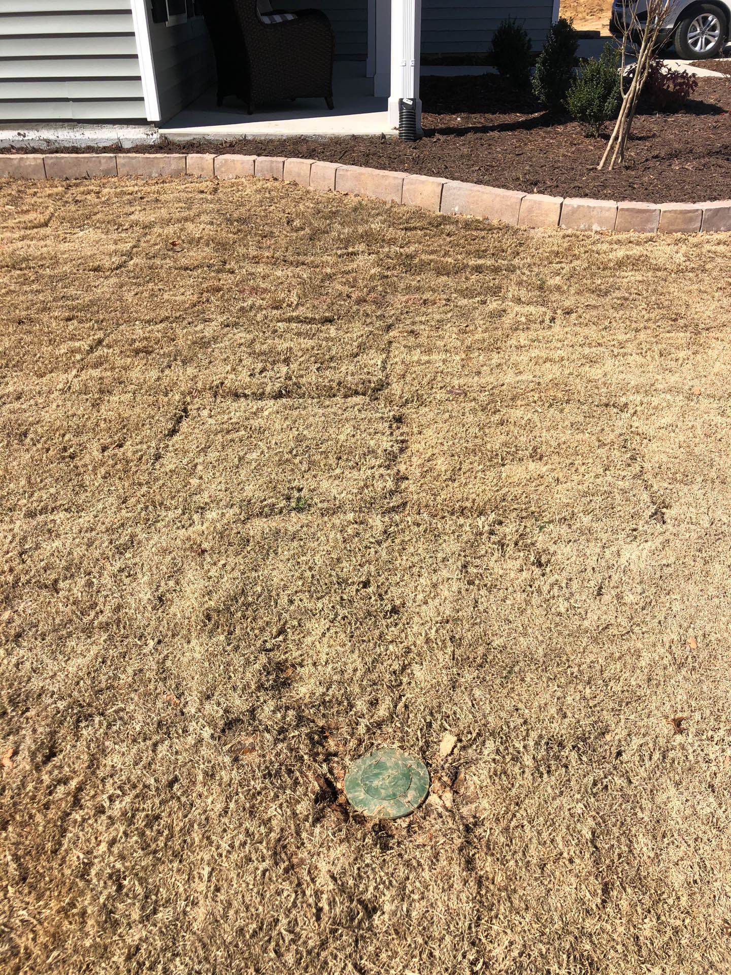 Dry, brown lawn with a green, circular utility cover. Brown mulch borders the lawn near a house.