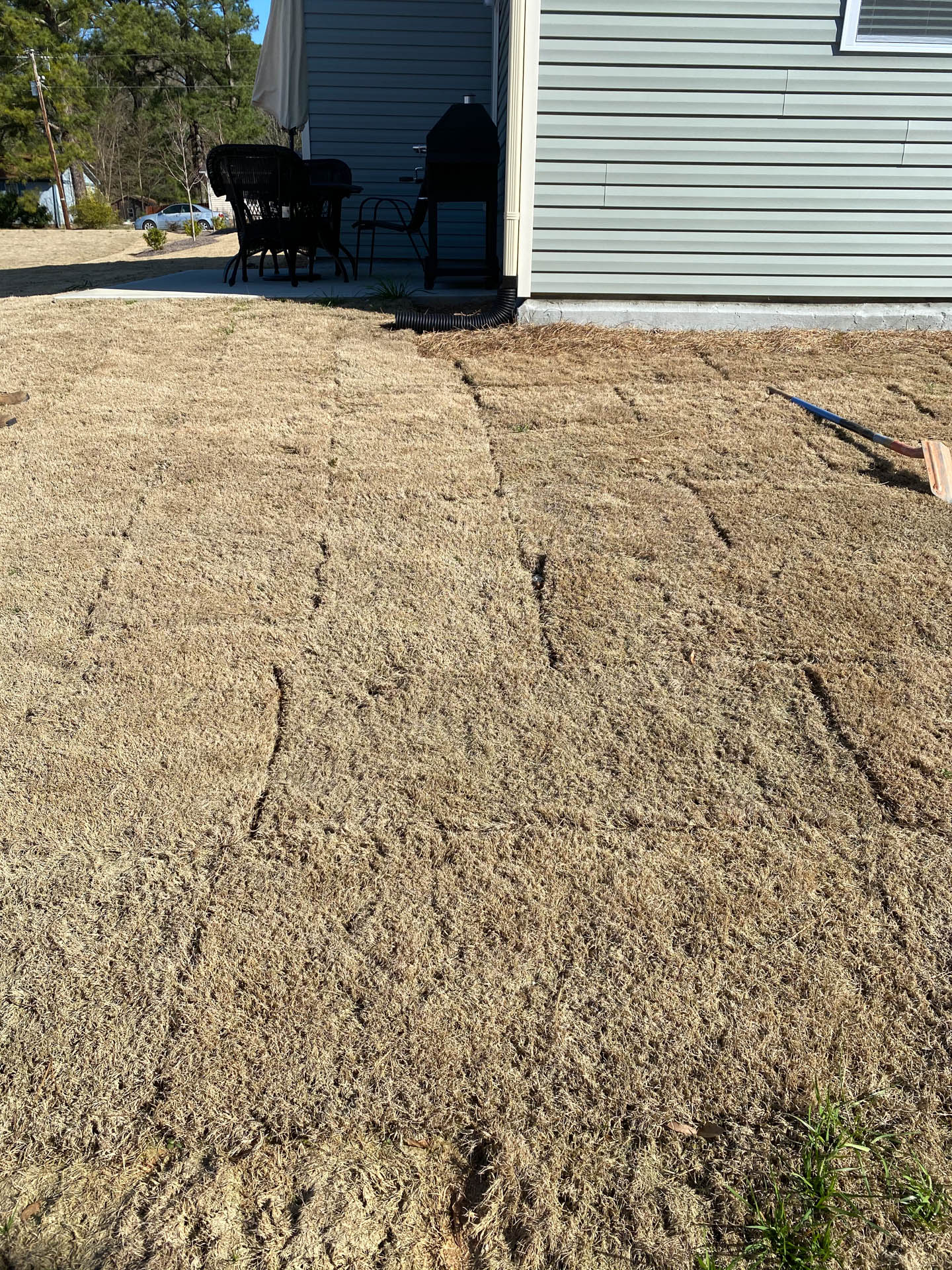 Dry grass lawn with concrete patio, house siding, and patio furniture.