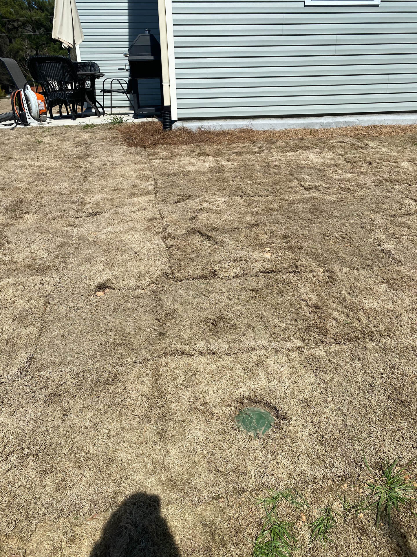Dried grass lawn next to a light blue building. A green sprinkler head is visible.