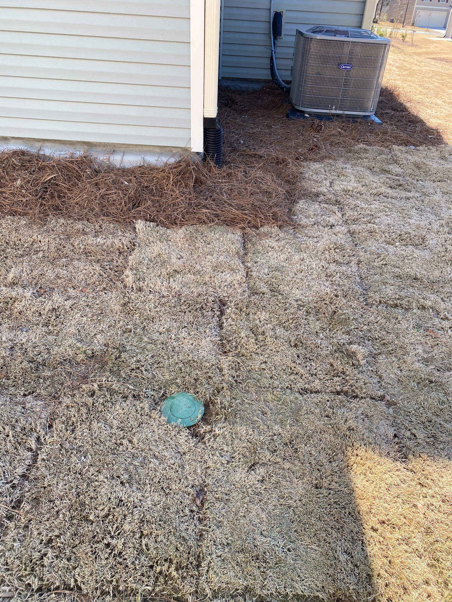 Green capped pipe in dry grass near a house and air conditioner, brown mulch border.