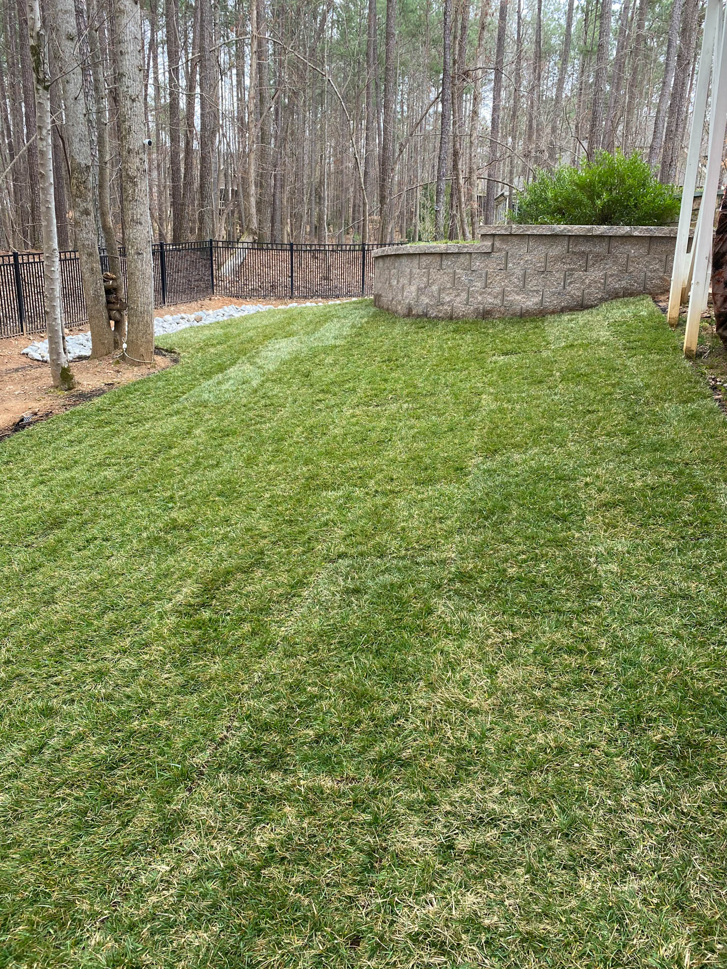 Green lawn with stone retaining wall and trees in the background.