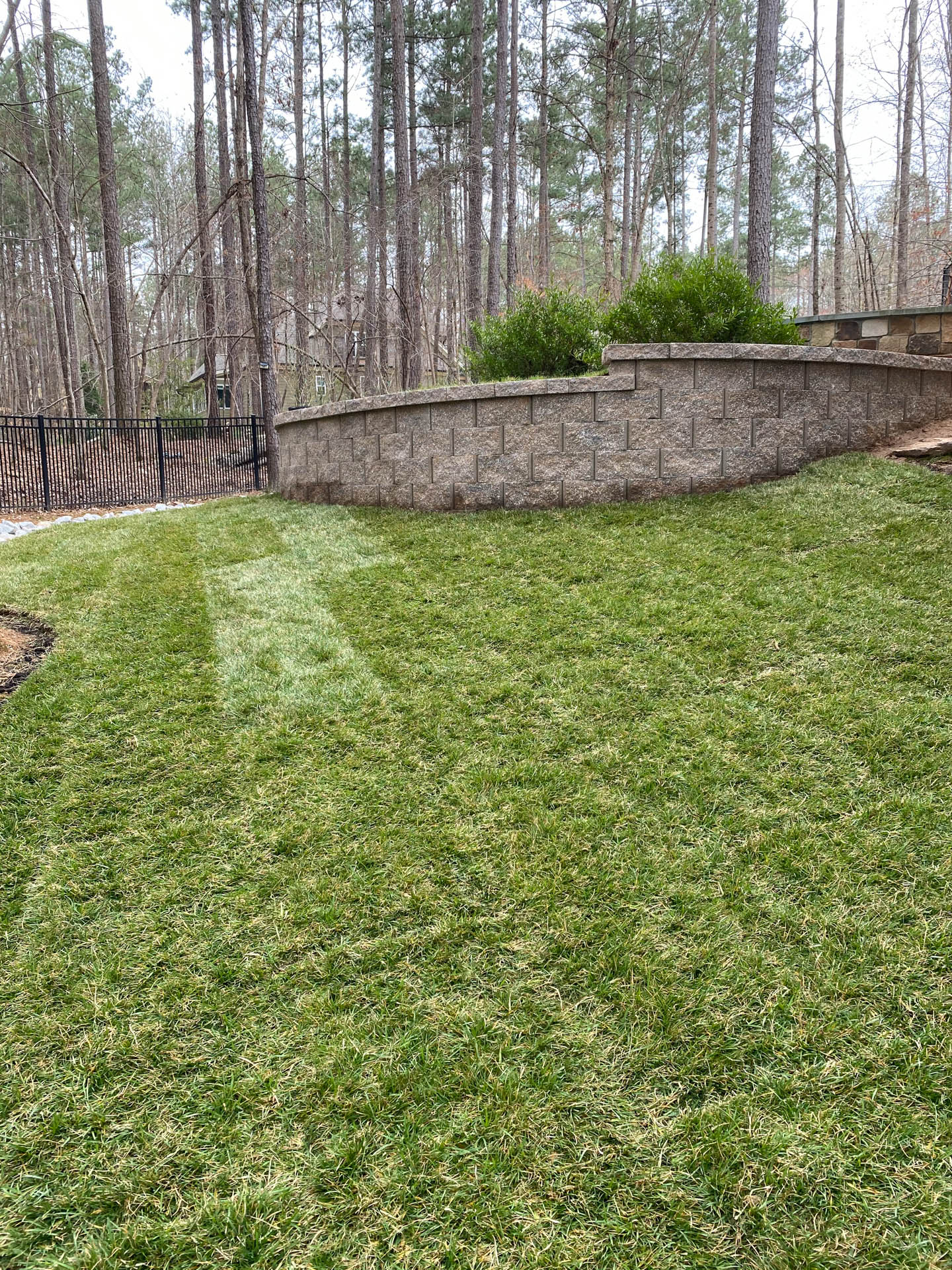 Green lawn in front of a stone wall, tall trees in the background.