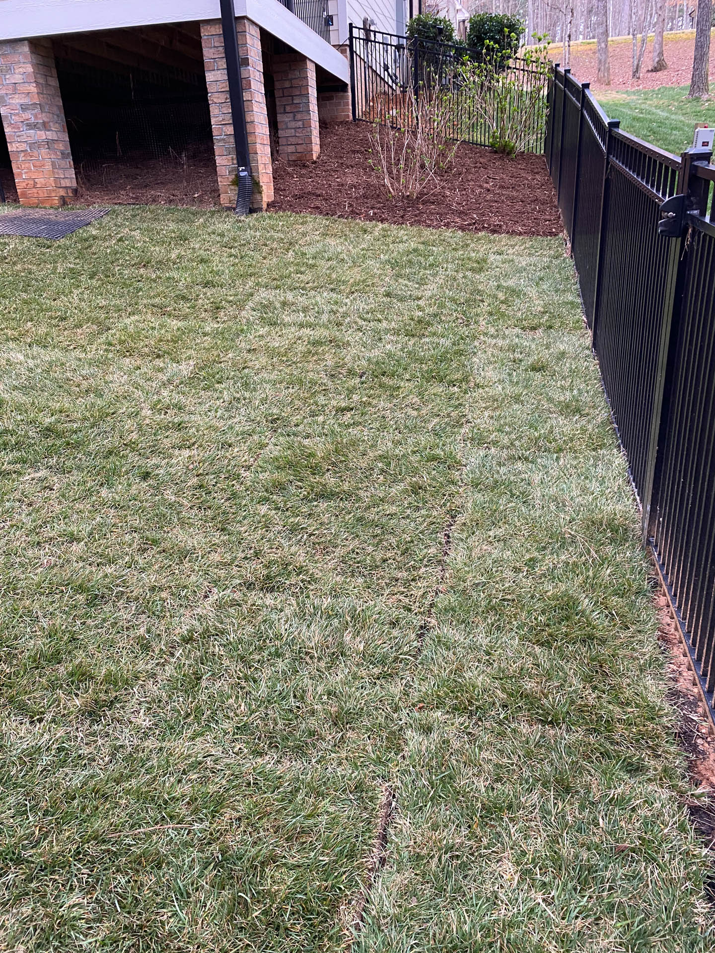 Lawn beside black fence; backyard with grass and mulch bed. Brick support structure visible.