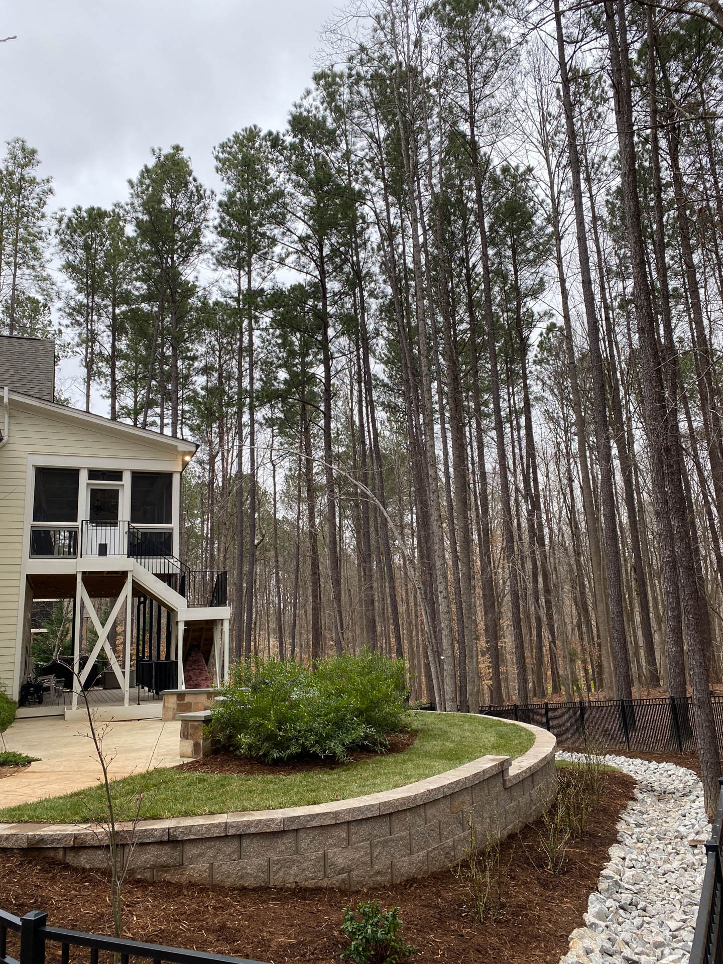 Backyard view with house, landscaping, retaining wall, and tall trees. Overcast sky.
