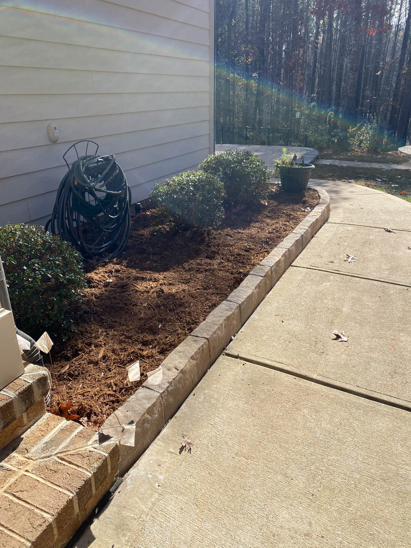 A garden bed with mulch, shrubs, and a hose next to a beige house and sidewalk.