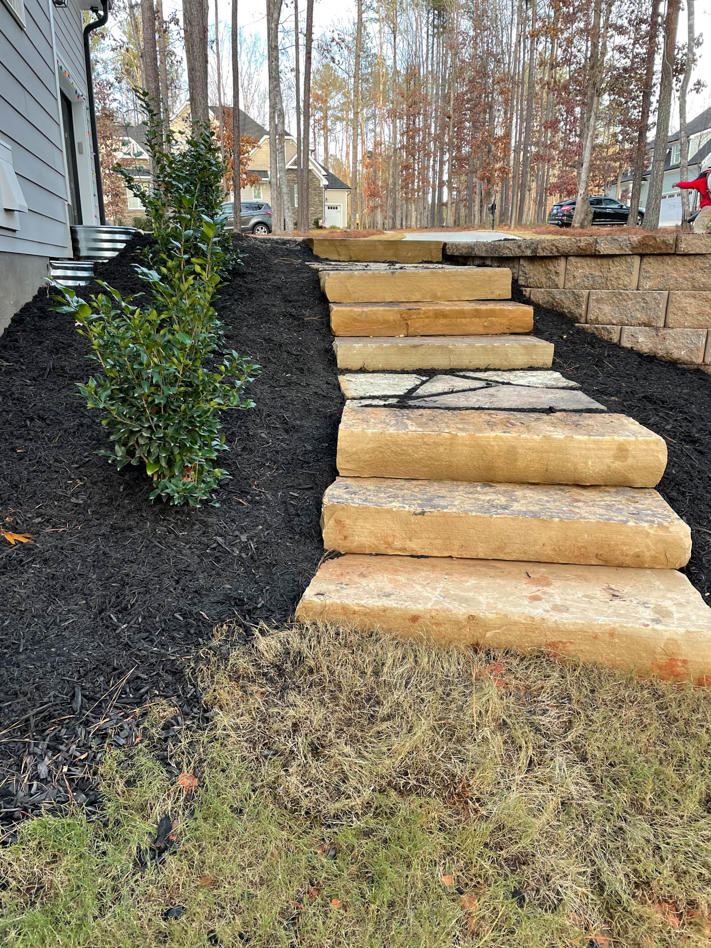 Stone steps ascend a dark mulched hill, with a green shrub. Lawn below and trees in the background.