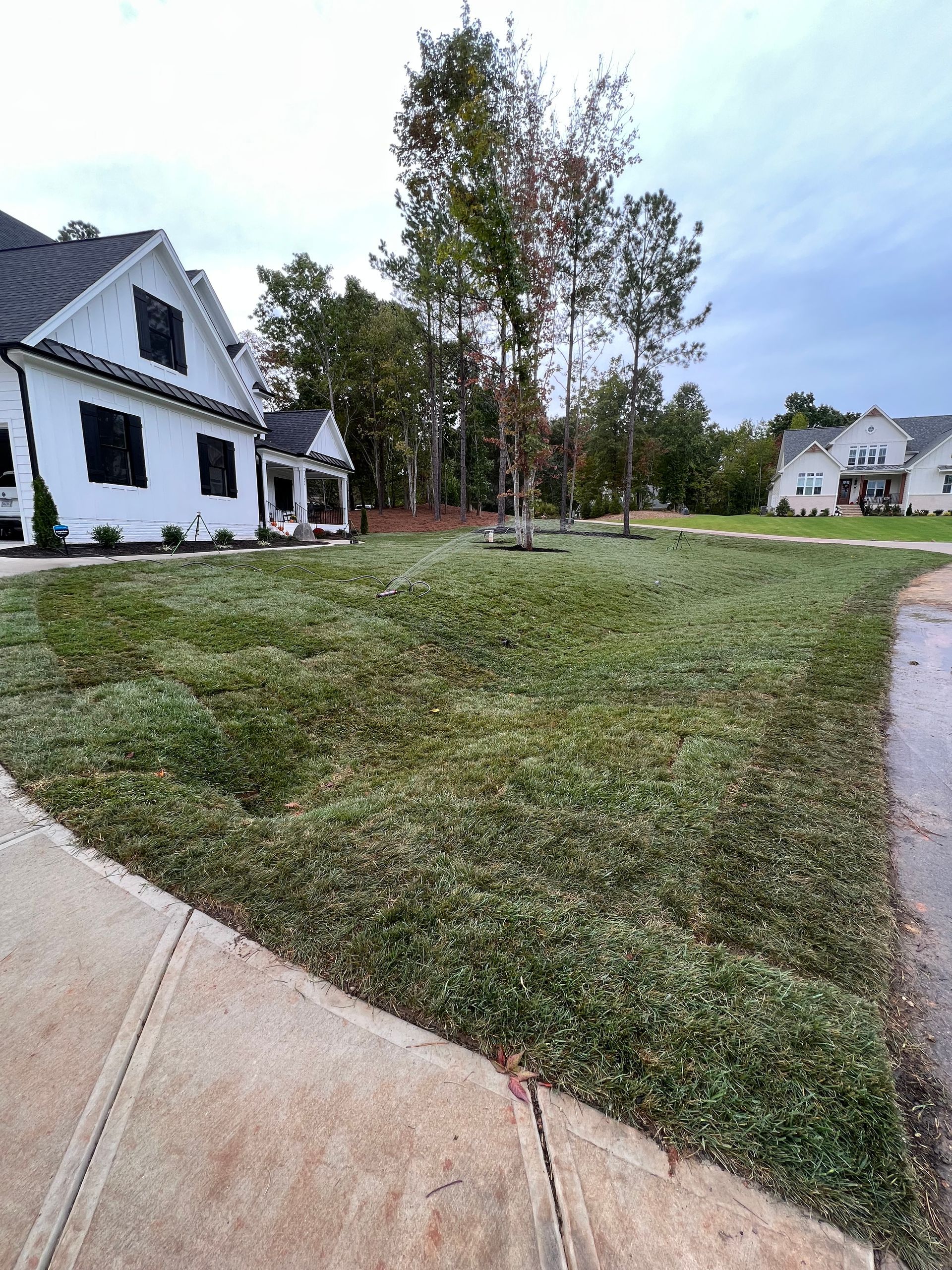 A freshly mowed front lawn with scattered clippings in front of a modern white house with dark window frames.