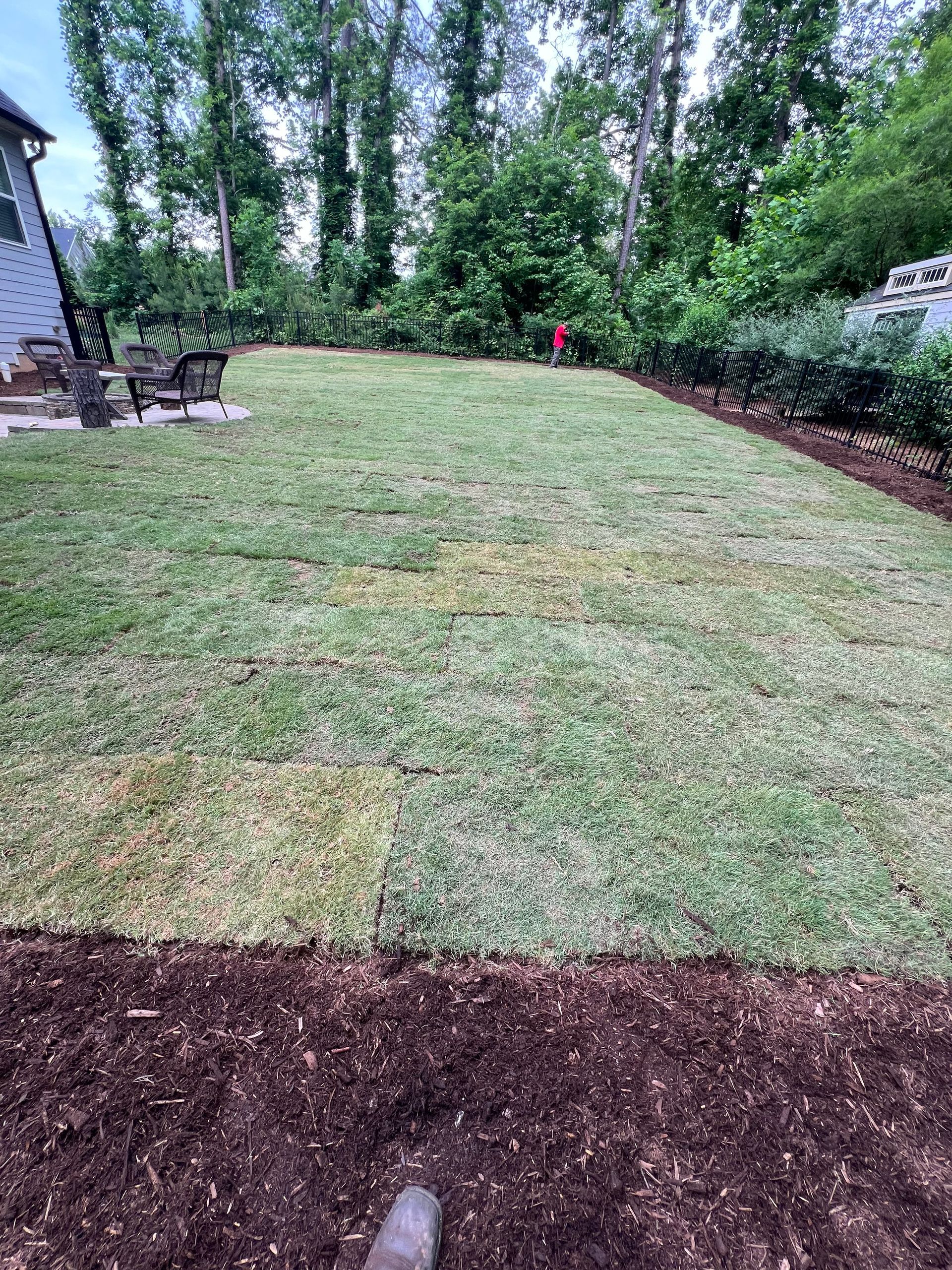 Newly laid patches of sod forming a green lawn in a backyard area with dark mulch in the foreground and trees in the back.