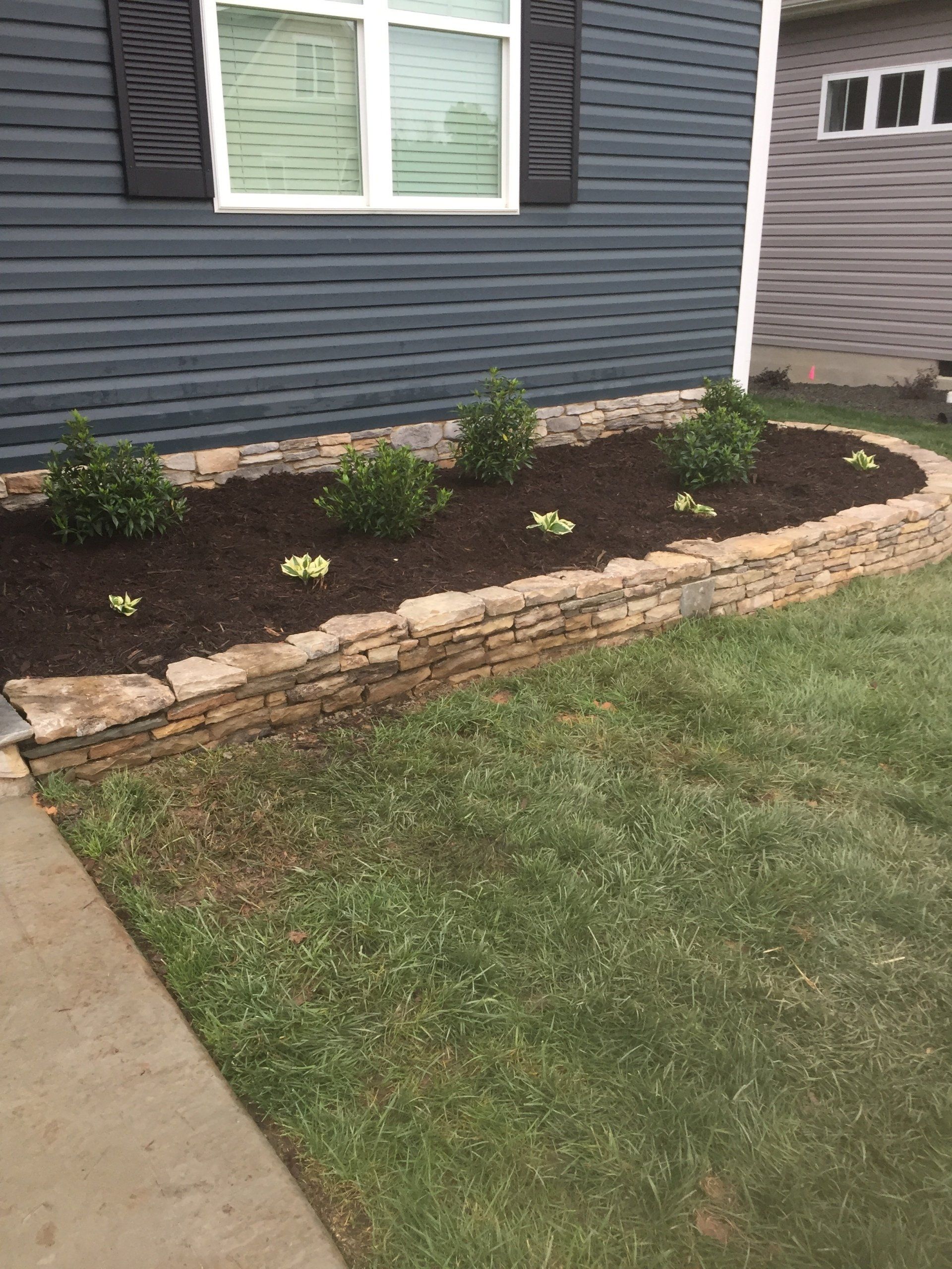 A landscaped garden bed with dark mulch, several shrubs, and small plants contained by a stone wall against a house.