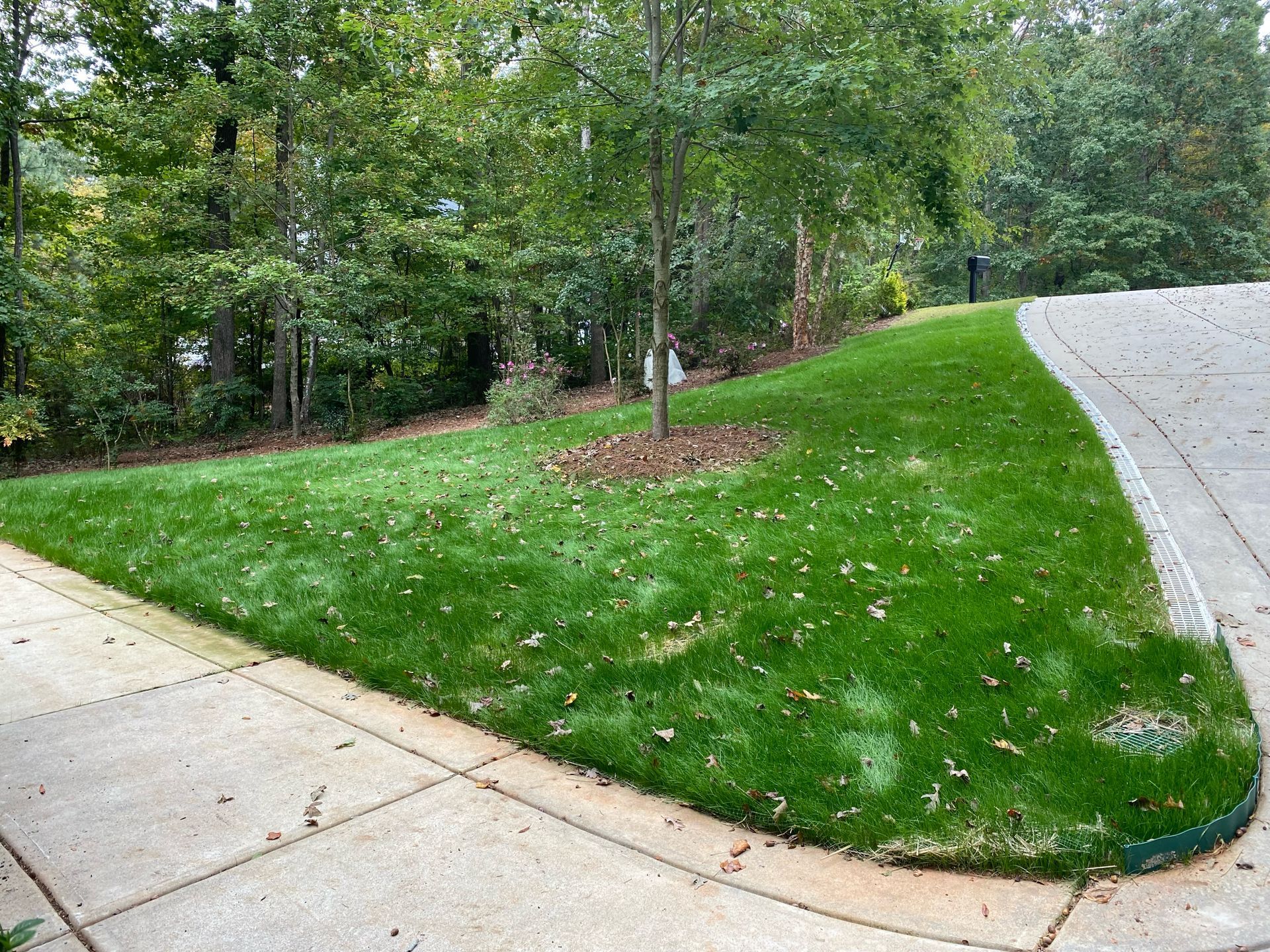 Green sloped lawn next to a sidewalk and a curved road, with trees in the background.