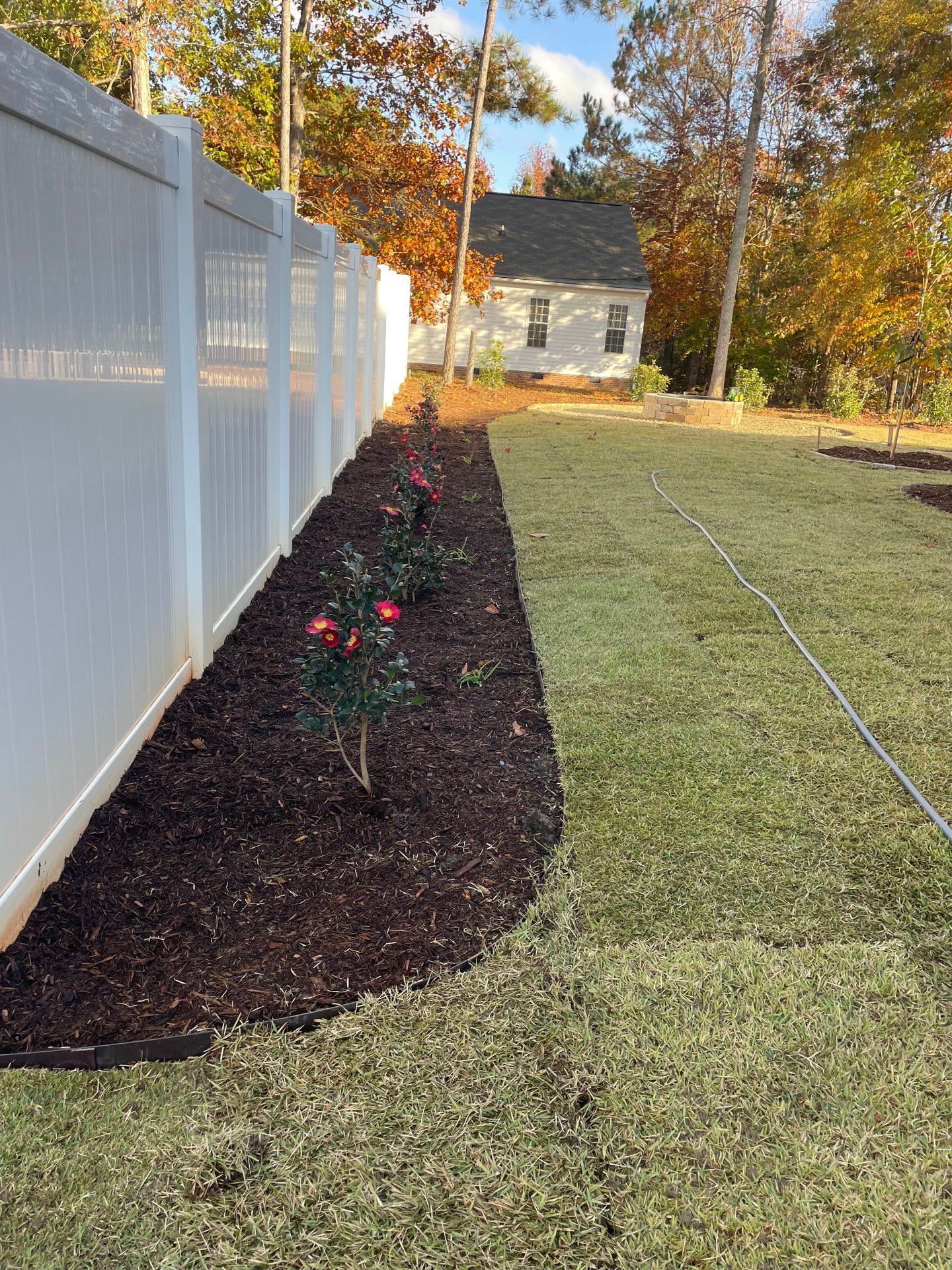 White fence borders a bed of dark mulch with young plants; green lawn and white house in the background.