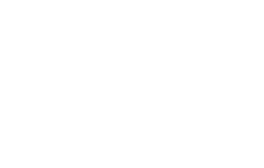 A white background with a few lines on it
