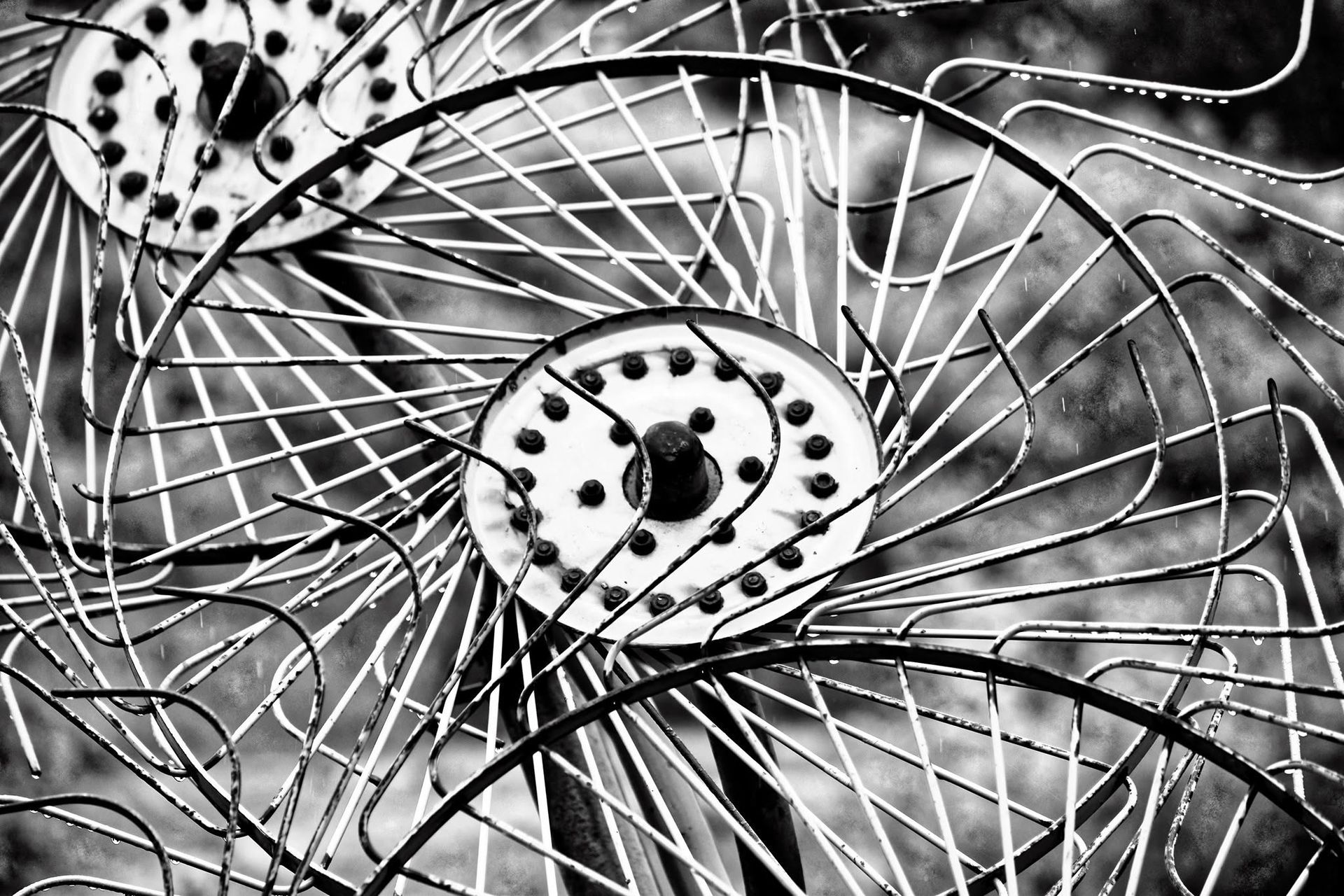 Abstract black-and-white pattern of overlapping curved lines and dotted circular shapes