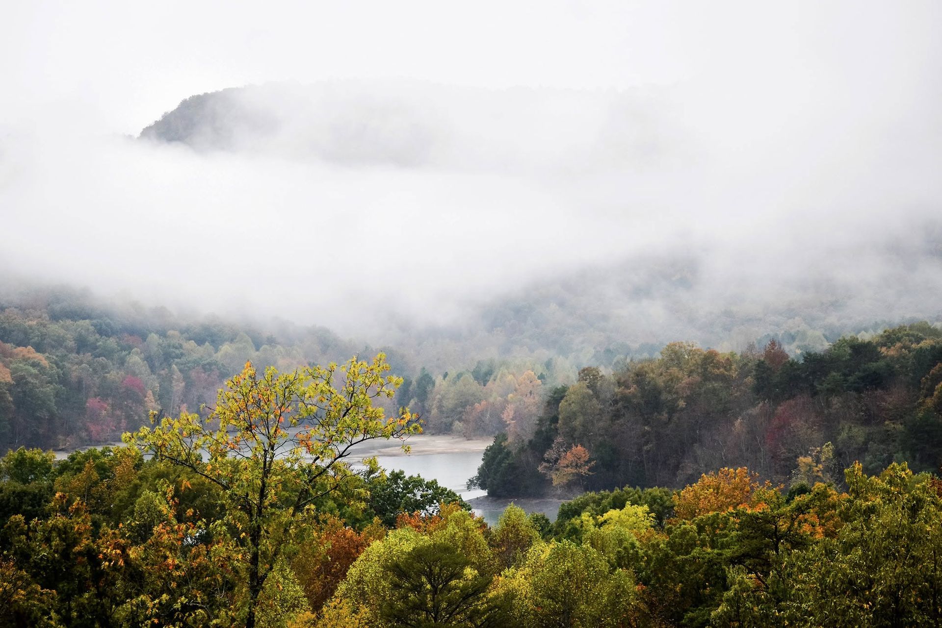 Foggy forested hills with a river winding through autumn foliage under low clouds