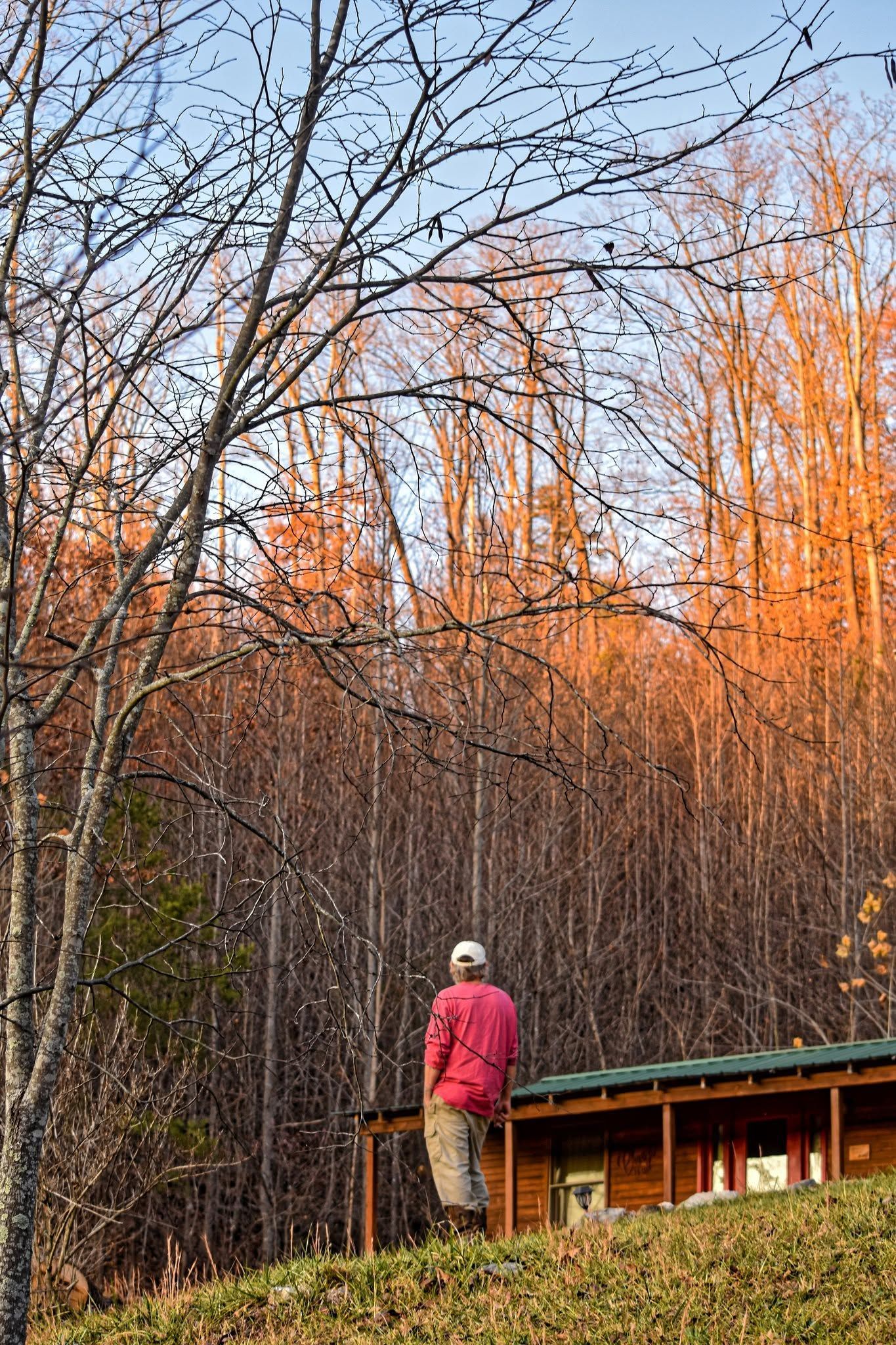 Person in a red jacket standing by a cabin in a forest of tall leafless trees at sunset